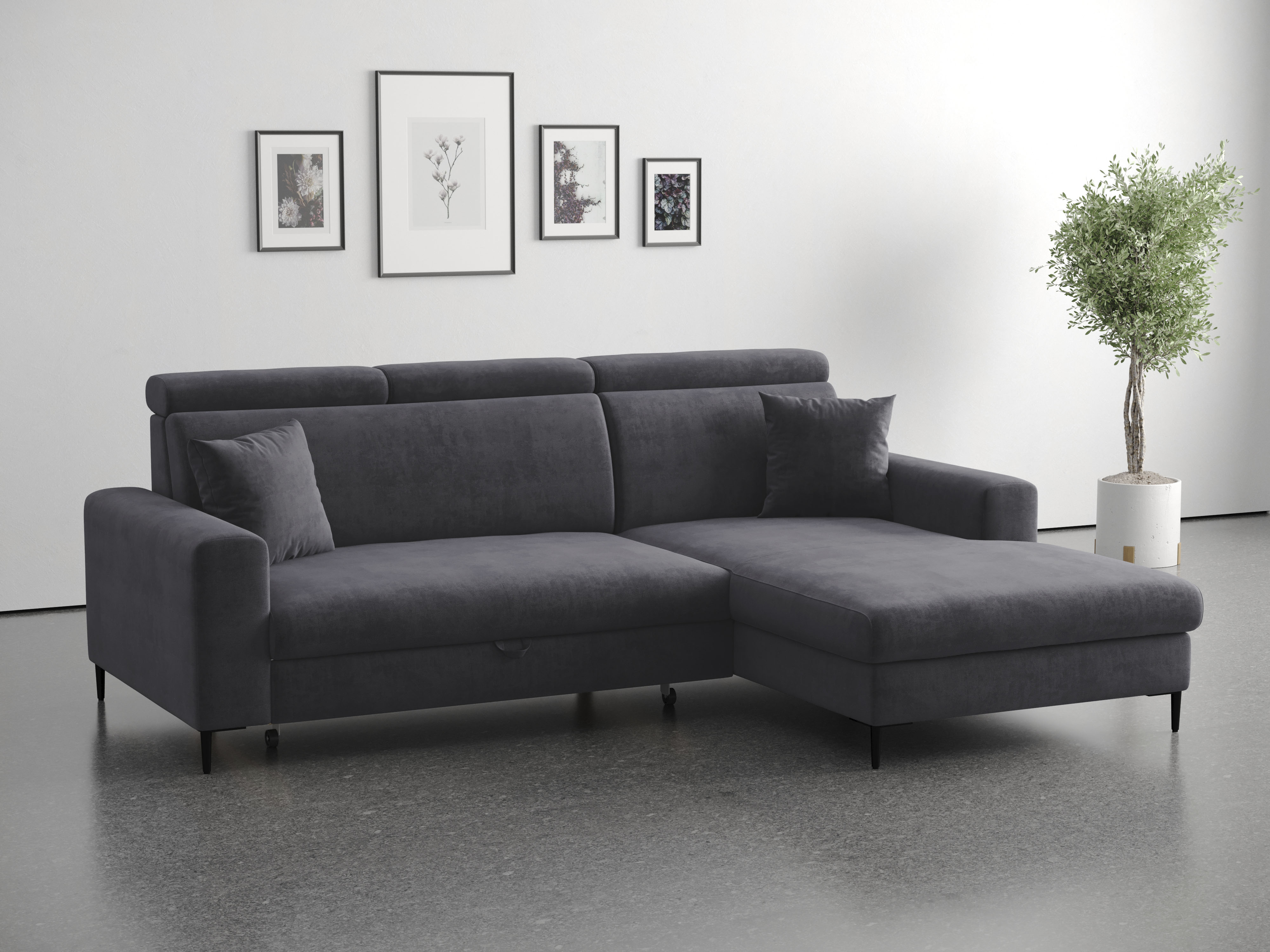 Trends by HG Ecksofa "Nizza, L-Form, B: 250cm" mit Schlaffunktion und Bettkasten