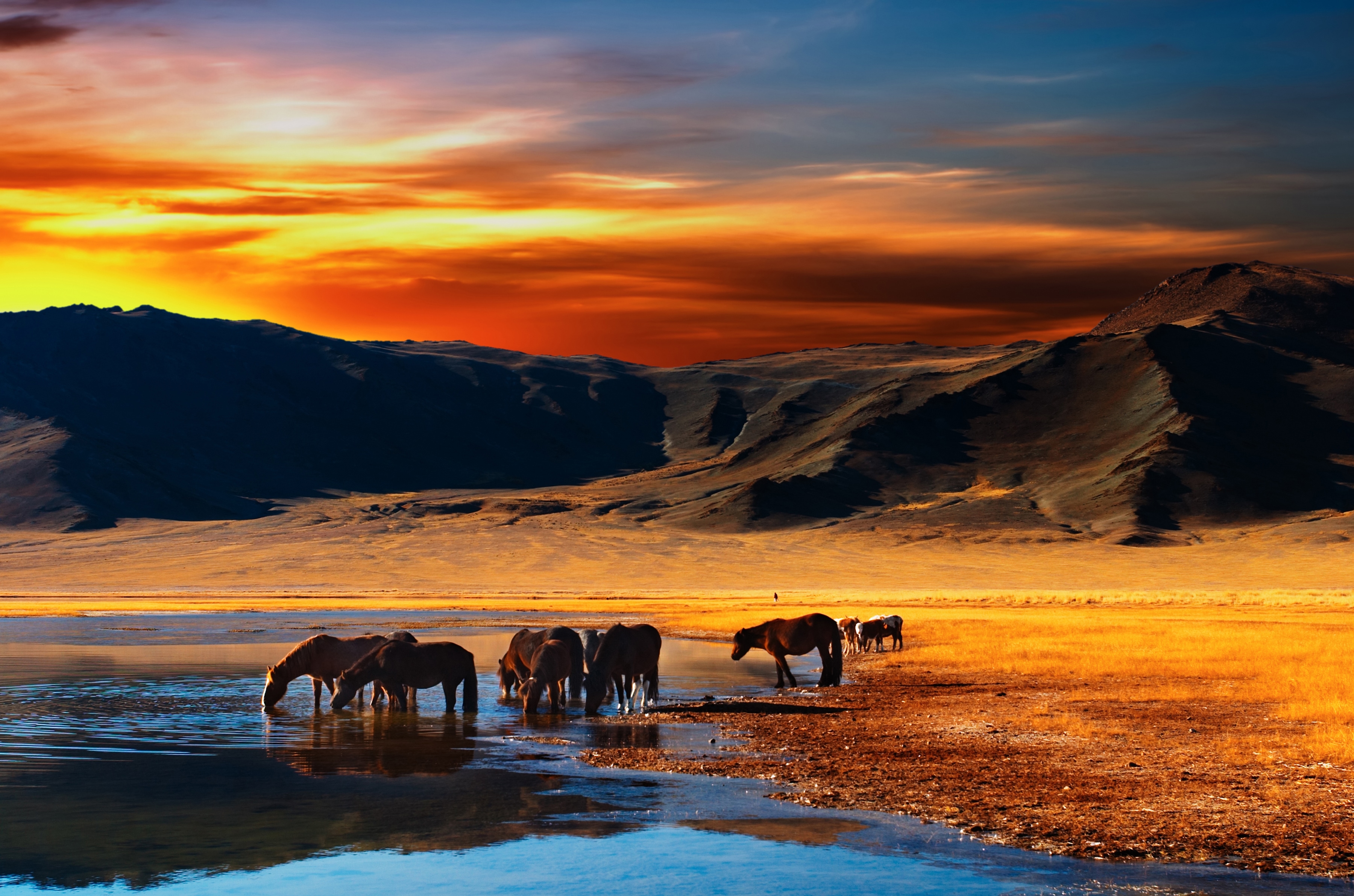 Papermoon Fototapete "Mongolian Horses" glatt