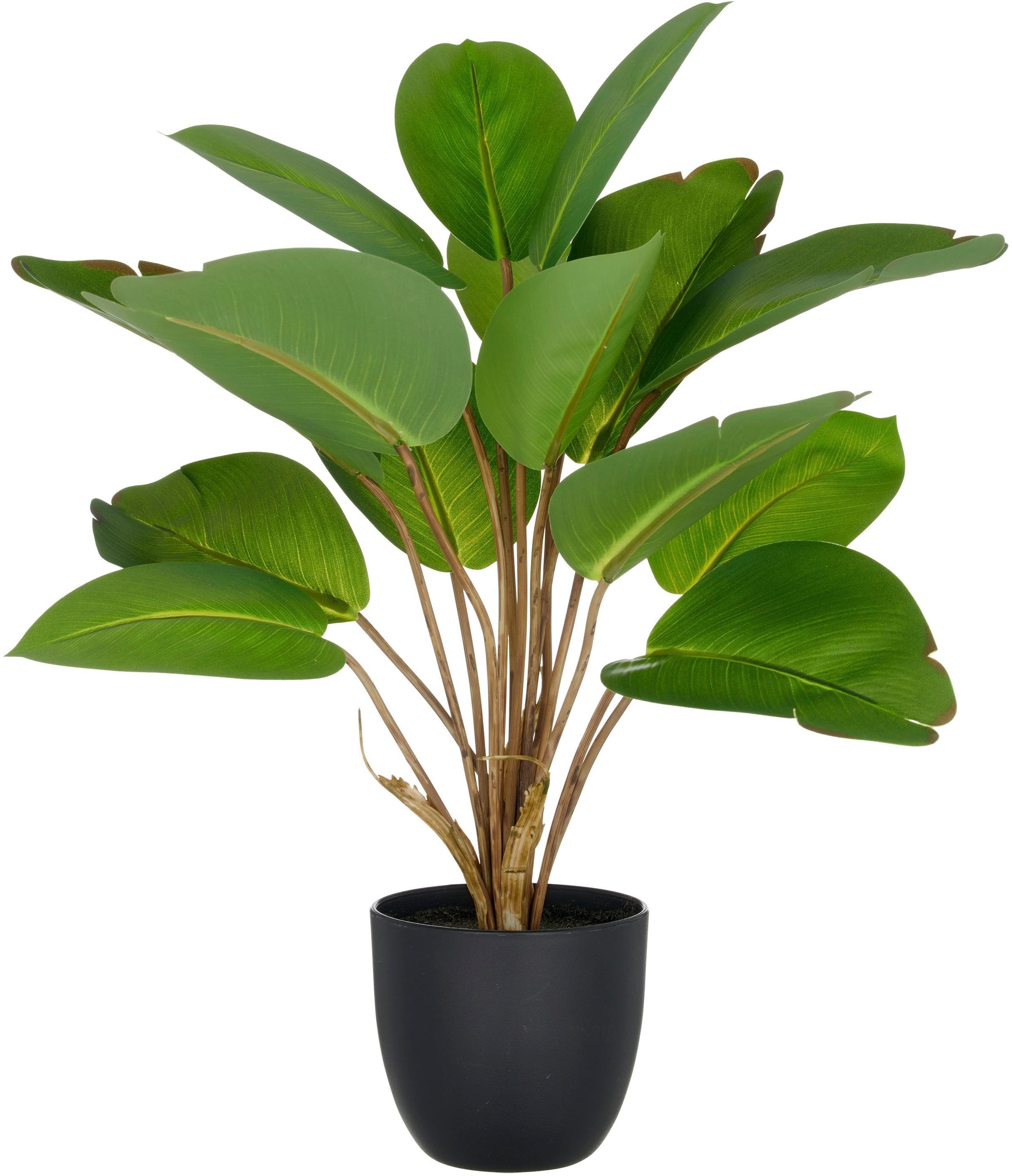 Creativ green Kunstpflanze "Philodendron", mit naturgetreuem Blattwerk günstig online kaufen