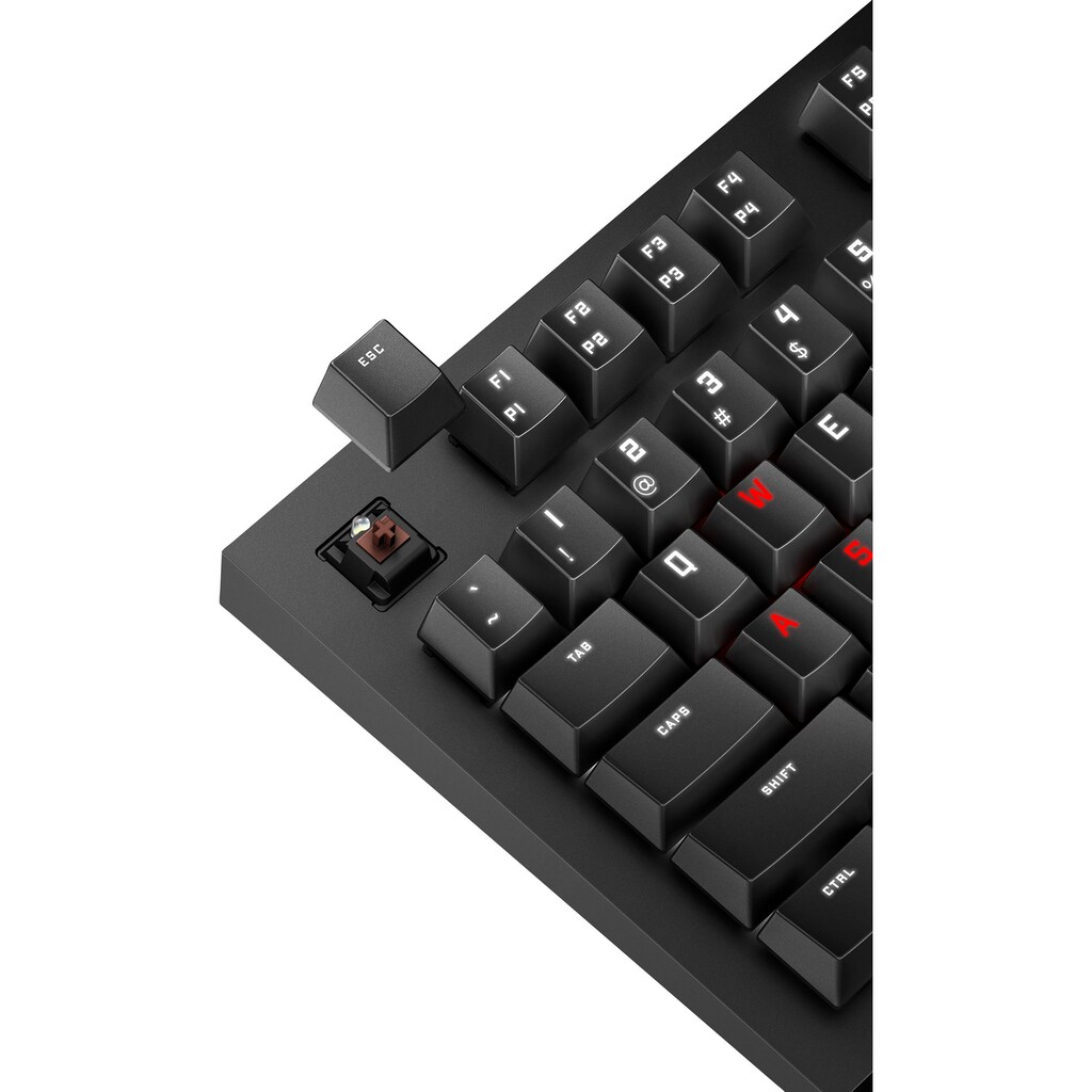 HP PC-Tastatur »OMEN Spacer Wireless TKL Keyboard«, (USB-Anschluss)