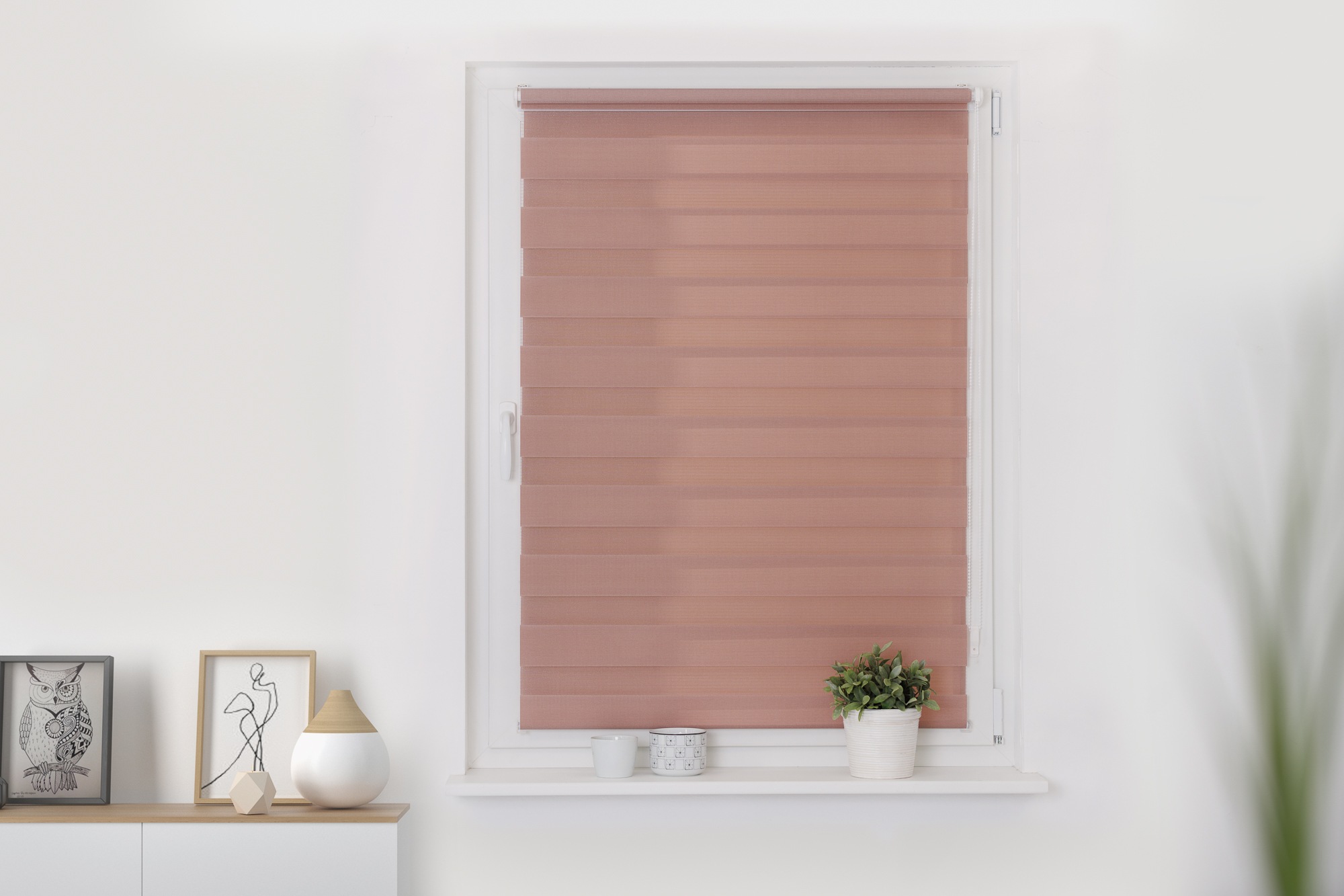 LICHTBLICK ORIGINAL Doppelrollo "Duo Rollo Klemmfix" Lichtschutz ohne Bohre günstig online kaufen