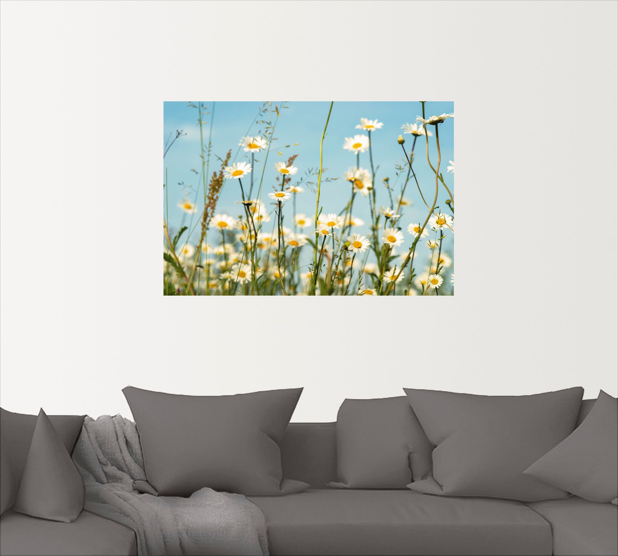 Artland Wandbild "Margeriten vor Sommer Himmel", Blumenbilder, (1 St.), als günstig online kaufen