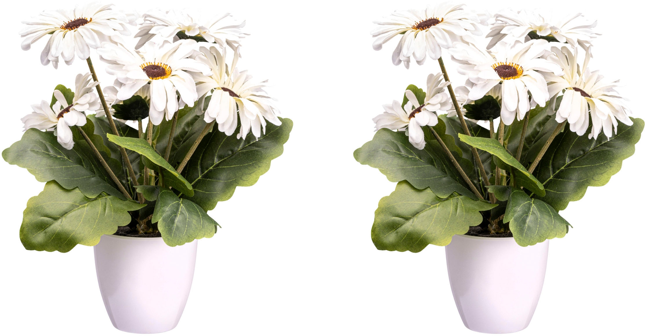 [Verkauf zum begrenzten Preis] Creativ green Kunstblume »Gerberabusch« bestellen | BAUR