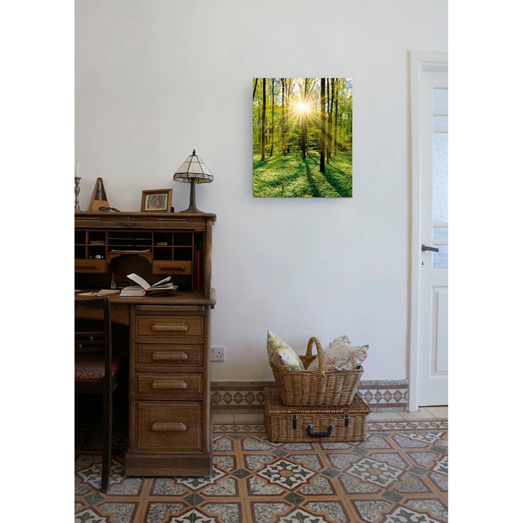 Marmony Infrarotheizung »Motiv Wald«, BxHxT: 50x60x2 cm, mit Fernbedienung und Timer