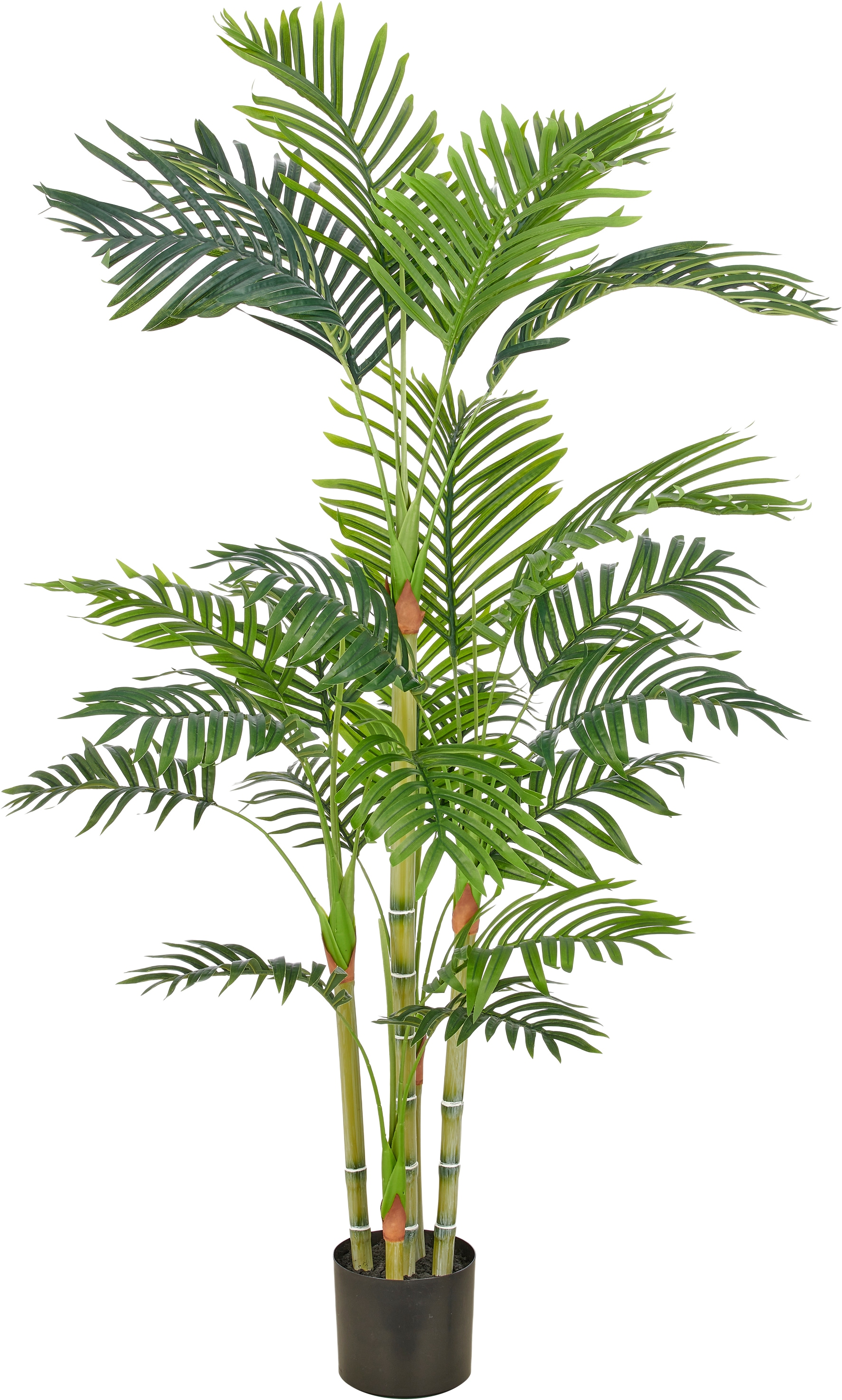 Creativ green Kunstpalme "Bambuspalme" mit naturgetreuen Palmwedeln