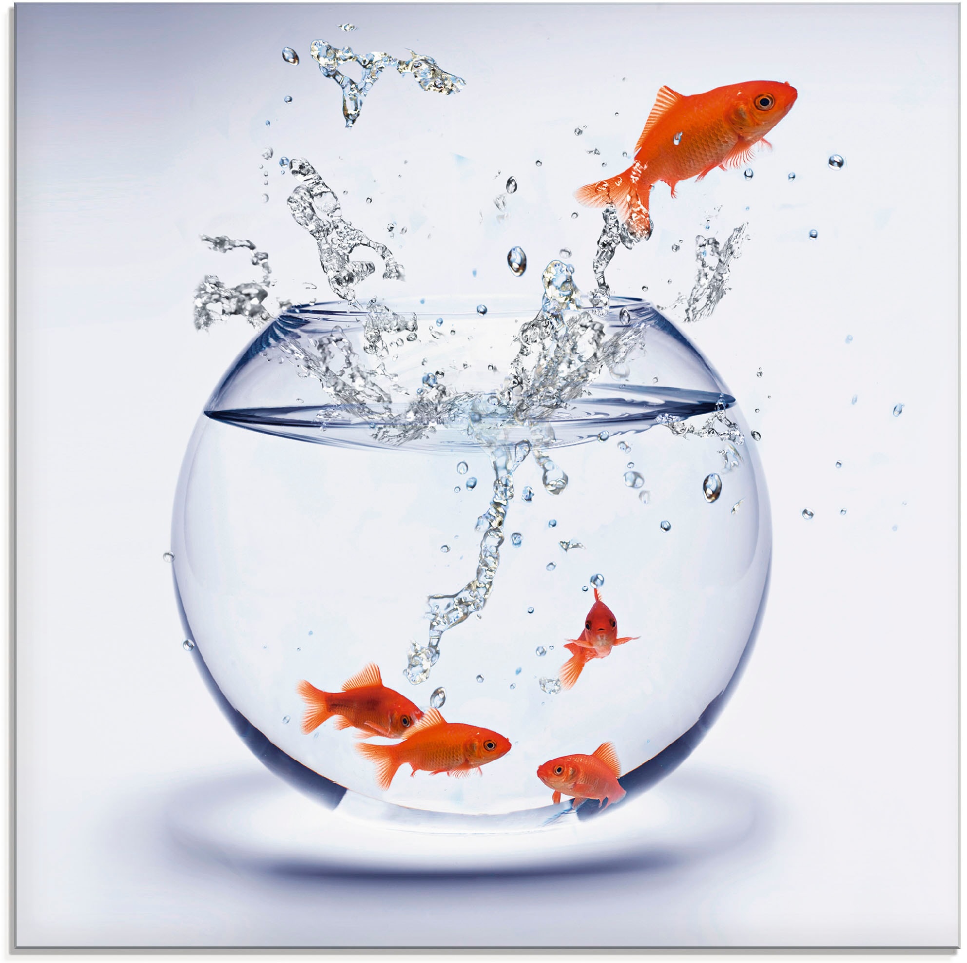 Artland Glasbild "Goldfischaquarium" Wassertiere 1 Stk. tlg. in verschiedenen Größen