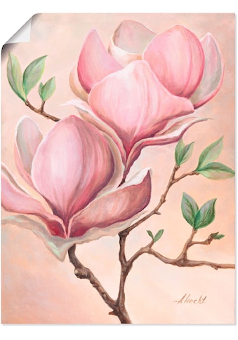 Wandbild »Magnolienblüten«, Blumen, (1 St.)