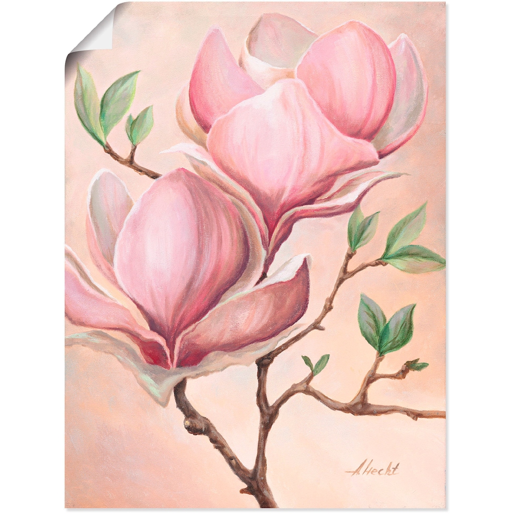 Artland Wandbild »Magnolienblüten«, Blumen, (1 St.)
