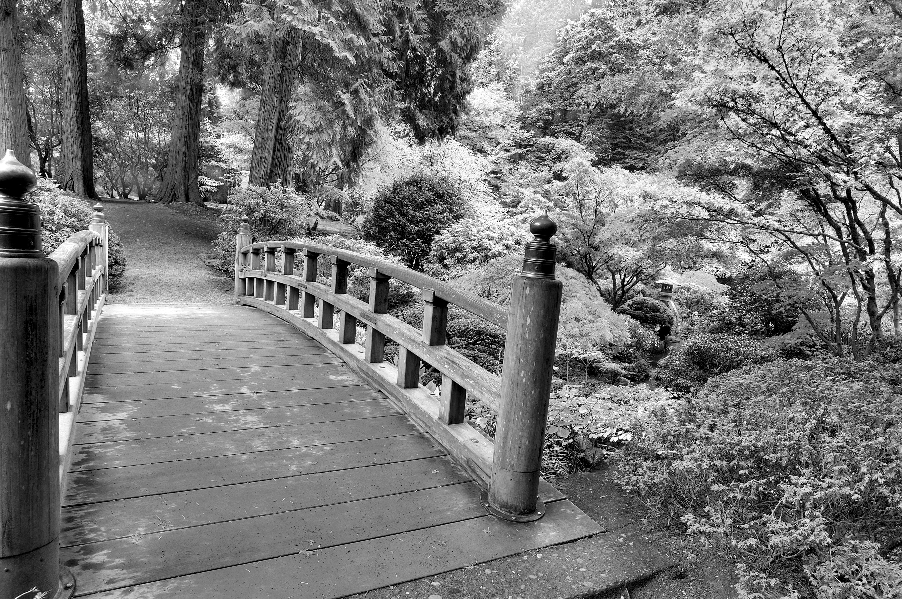 Papermoon "Brücke Schwarz & Weiß"