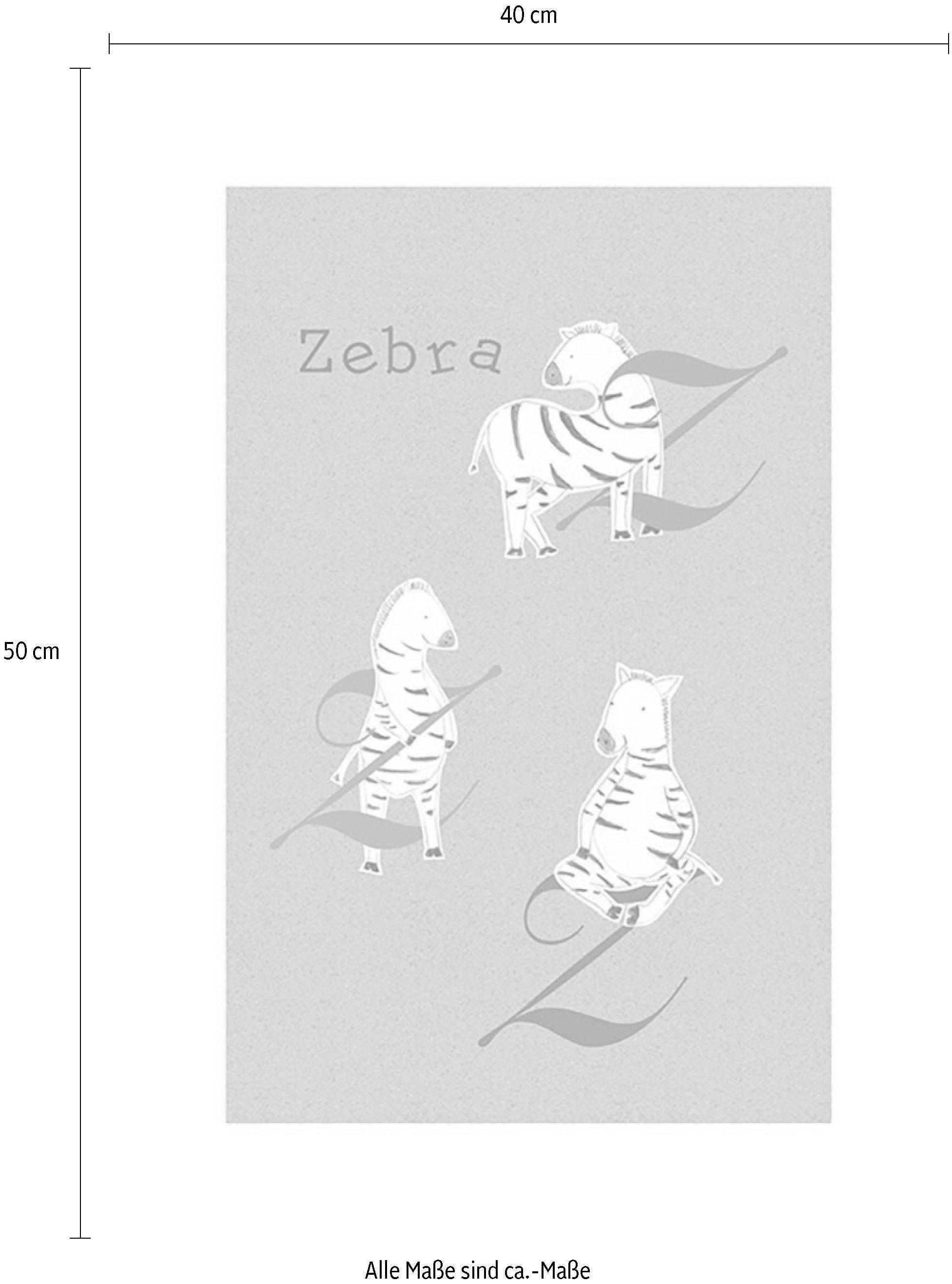 Komar Bild »ABC Animal Z«, Buchstaben, (1 St.), Wandbild zur Dekoration - ohne Rahmen
