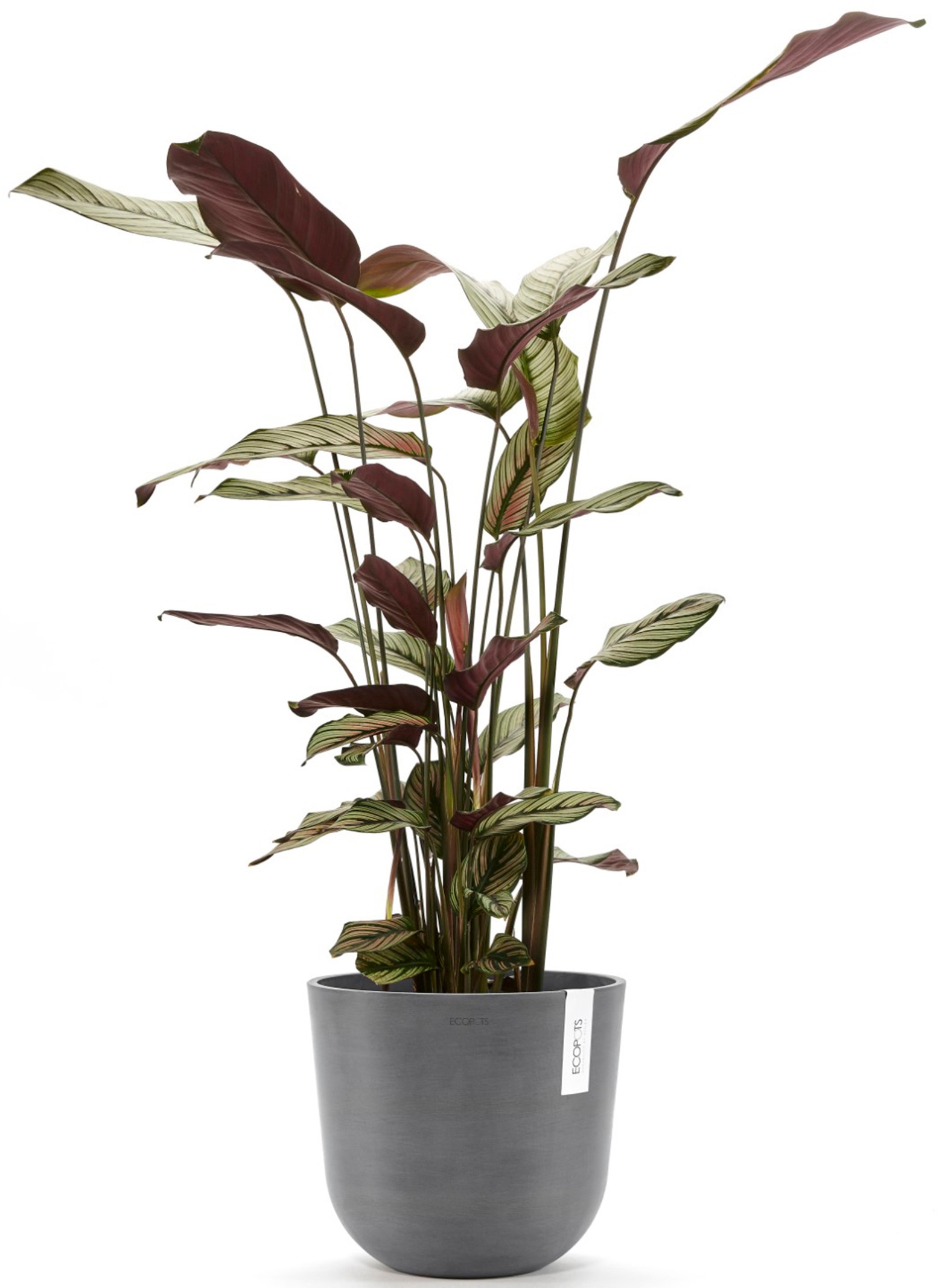 ECOPOTS Blumentopf »Oslo 25 Grau«, für innen und außen: frostsicher, bruchsicher und lichtbeständig