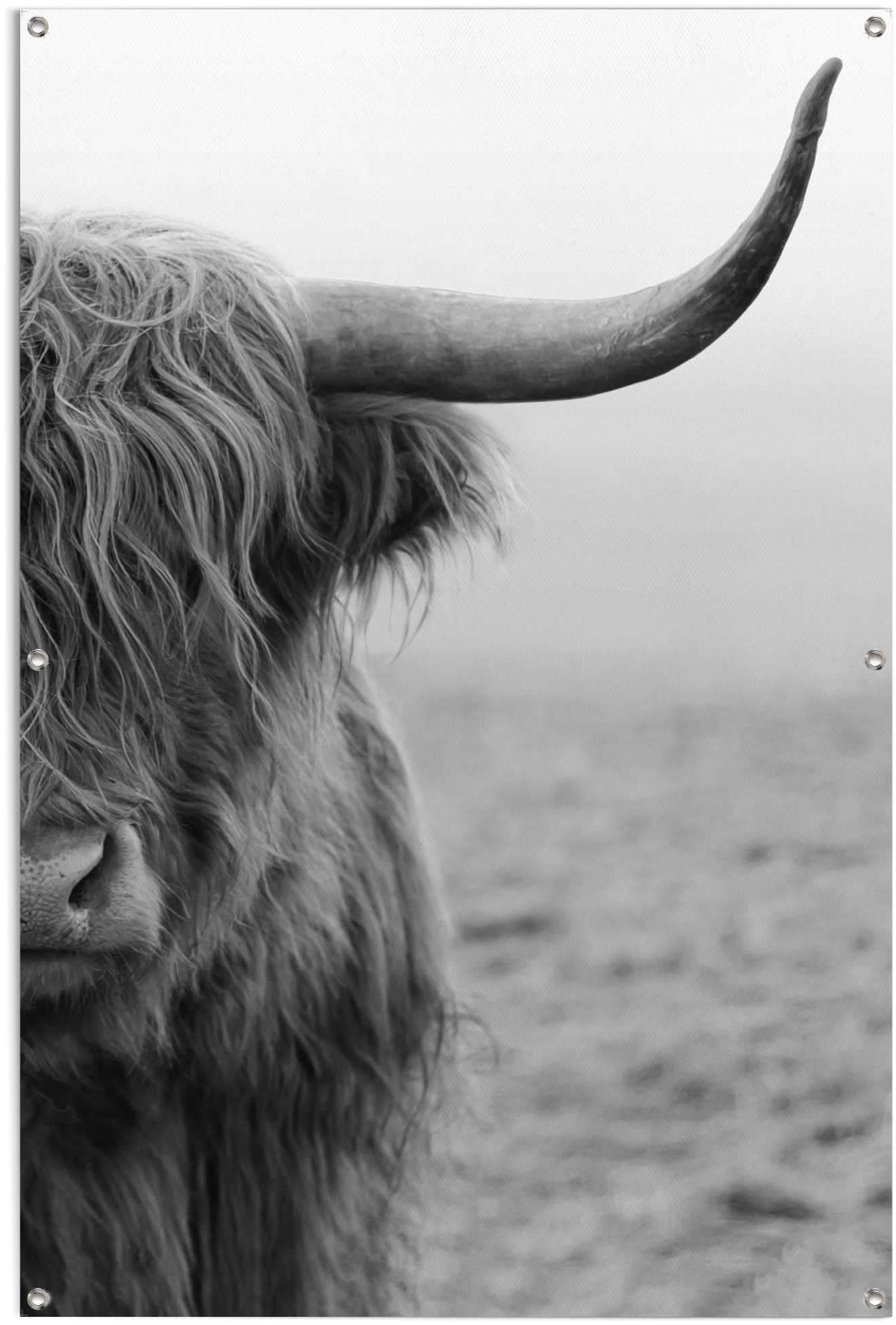 Reinders! Poster »Highlander kaufen Bulle«, und leichtes | für Gartenposter den Außeneinsatz BAUR wasserfestes