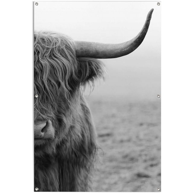 Bulle«, wasserfestes Außeneinsatz und Gartenposter für | Poster kaufen BAUR den »Highlander leichtes Reinders!