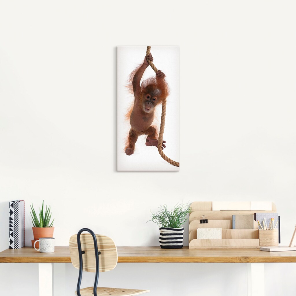 Artland Wandbild »Baby Orang Utan hängt am Seil I«, Wildtiere, (1 St.)