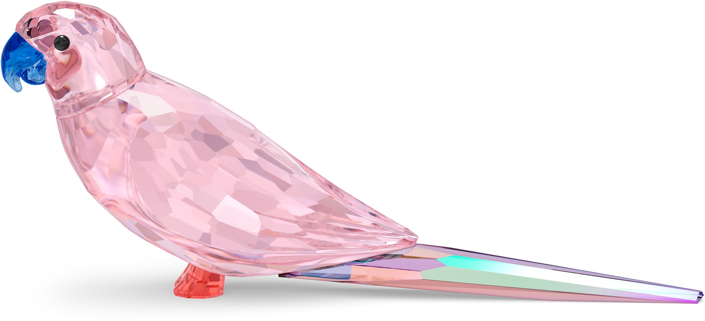 Bourkesittich »Kristallfigur Kristall Beats Swarovski Dekofigur BAUR Vogel Swarovski® Jungle Cha 5557848«, Cha, |