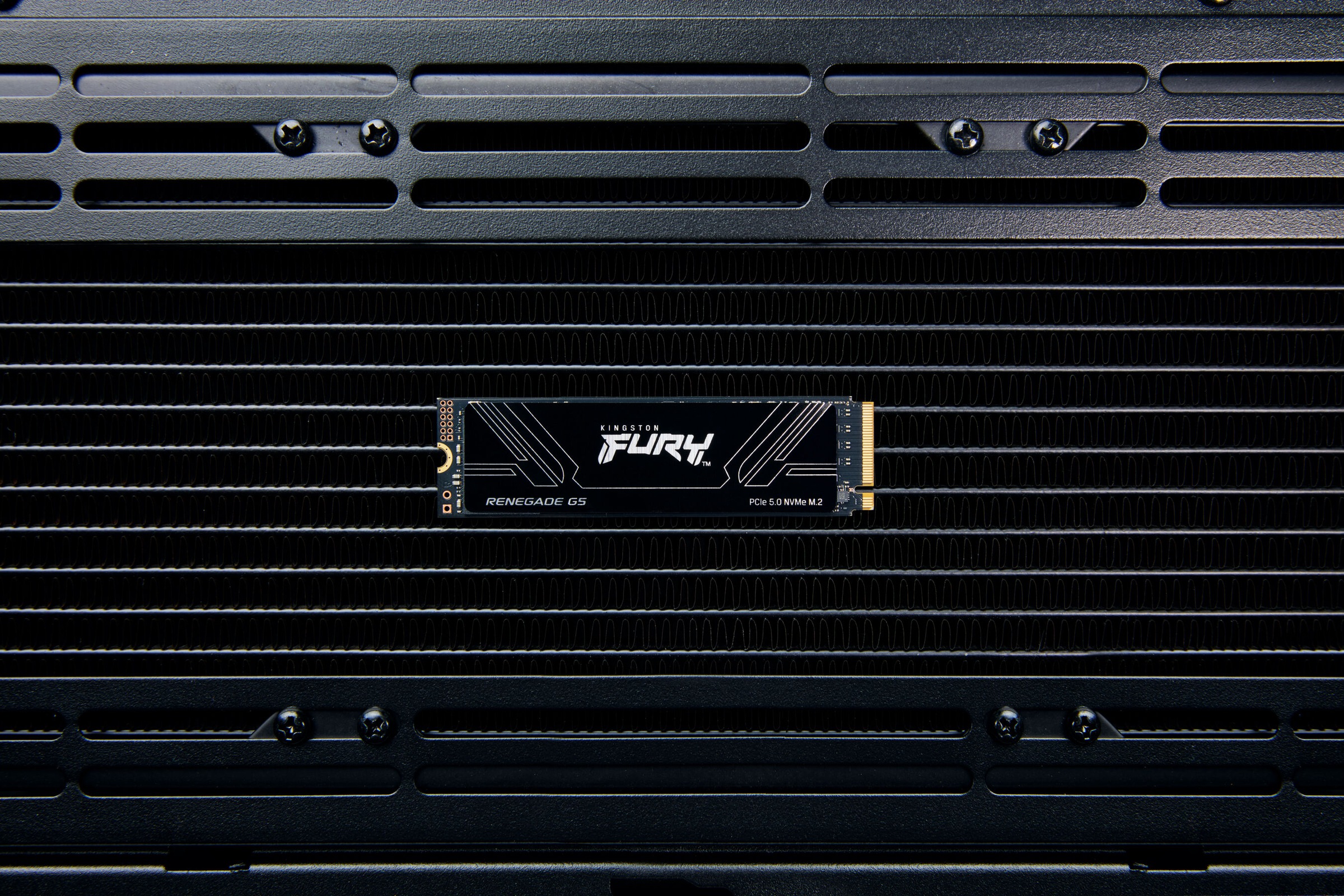 Kingston interne SSD »2T FURY RENEGADE G5 M.2 2280 NVMe SSD«