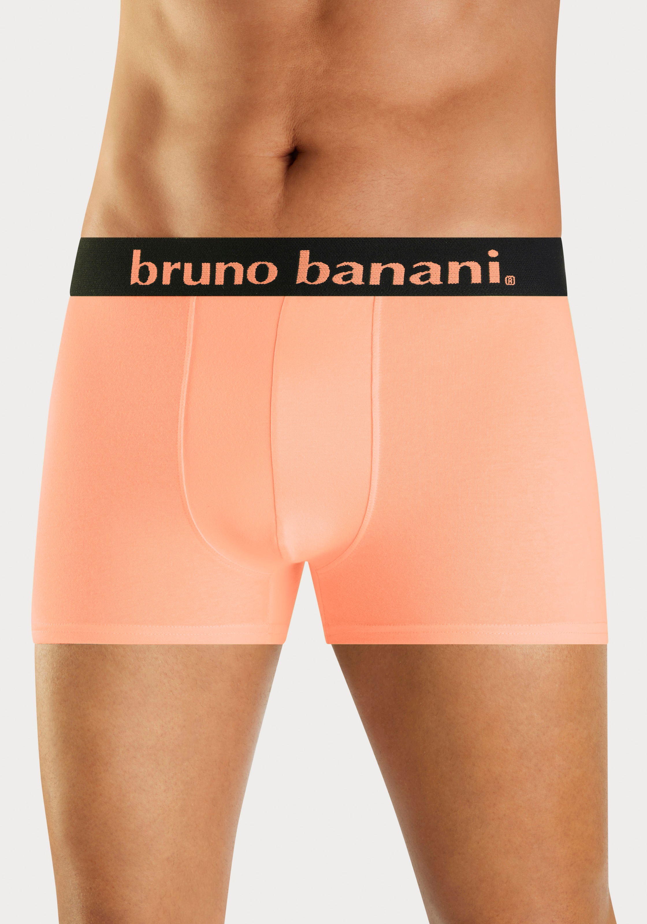 Bruno Banani Boxer, (3 St., Packung), mit breitem Logo-Webbund günstig online kaufen