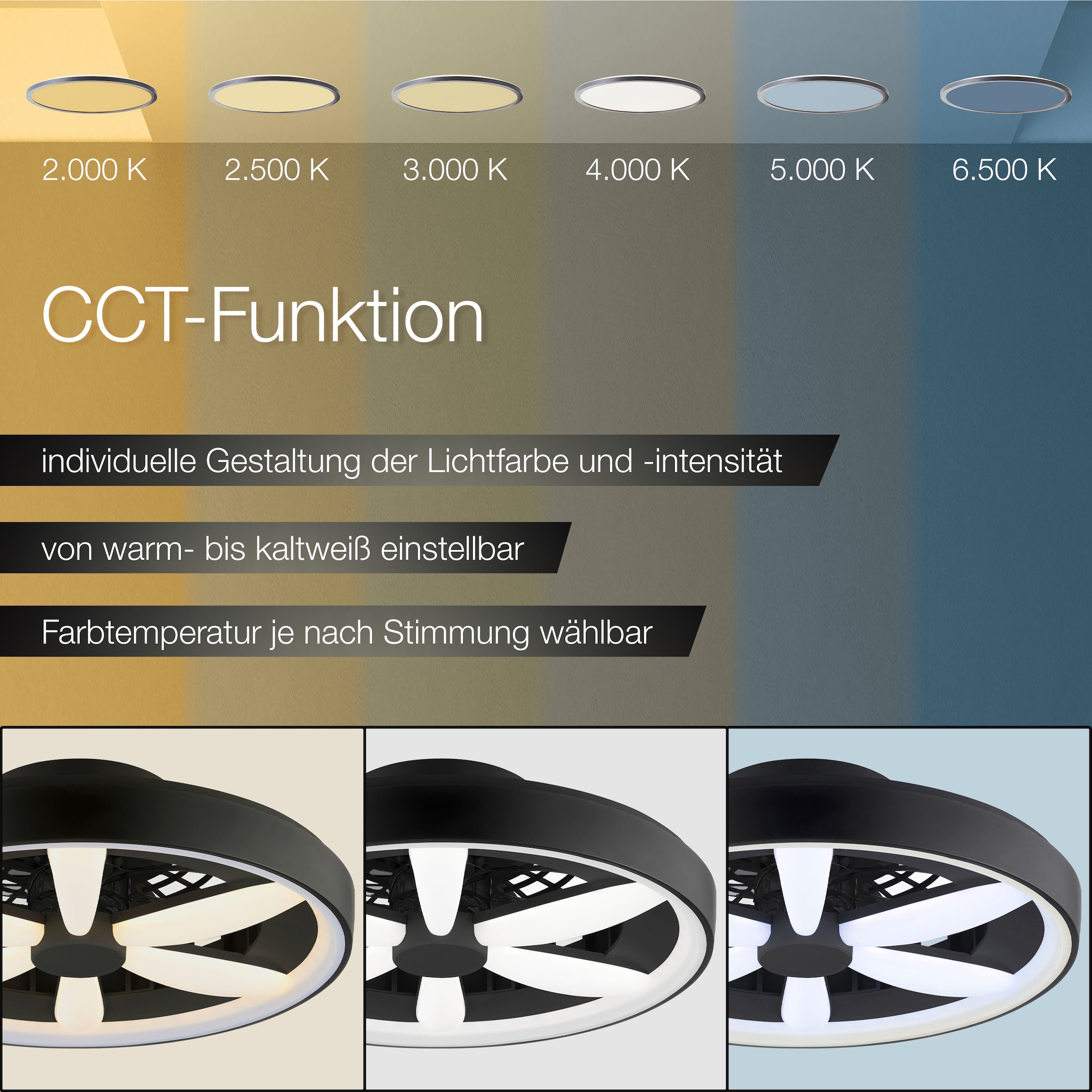 Hanseatic LED Deckenleuchte »DLV2205« LED-Modul 1 Stk. RGB | warmweiß - kaltweiß LED Ventilator, Ø 48 cm, 6400 lm, dimmbar, Fernbedienung