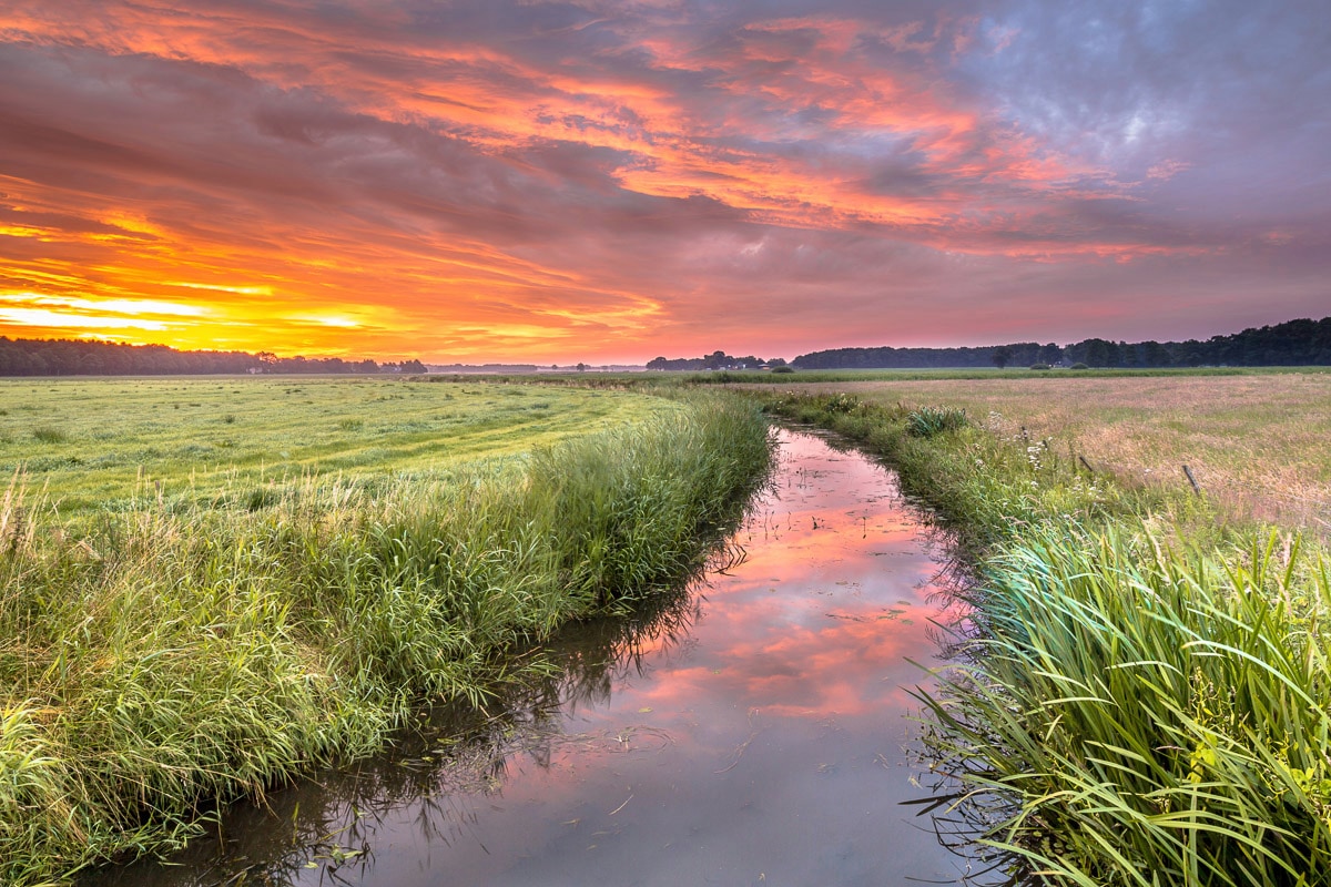 Papermoon Fototapete "Fluss in Feld"