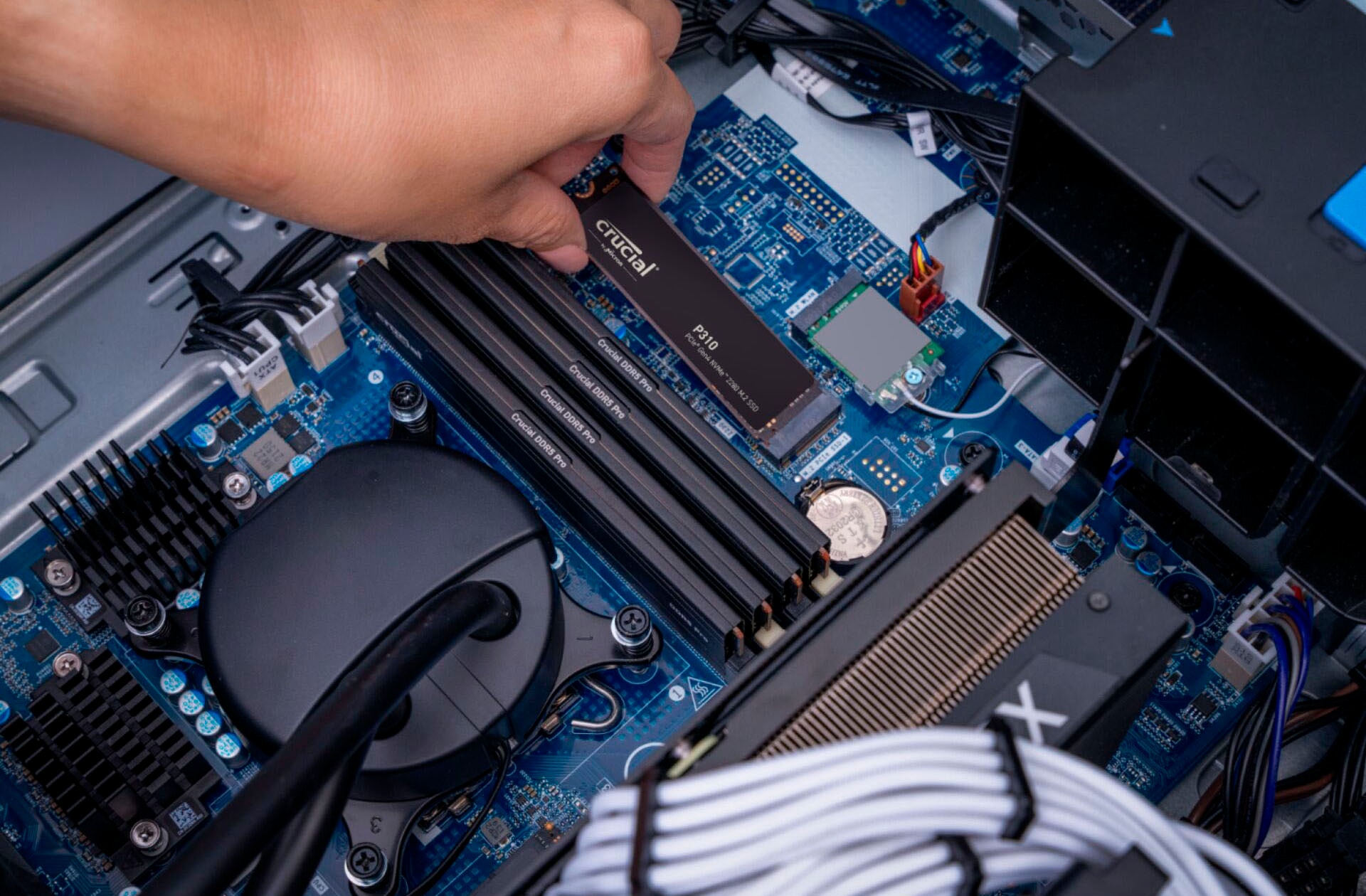 Crucial SSD-Festplatte »P310 Gen4 2280 1TB« 1000 GB Anschluss M.2 (2880)