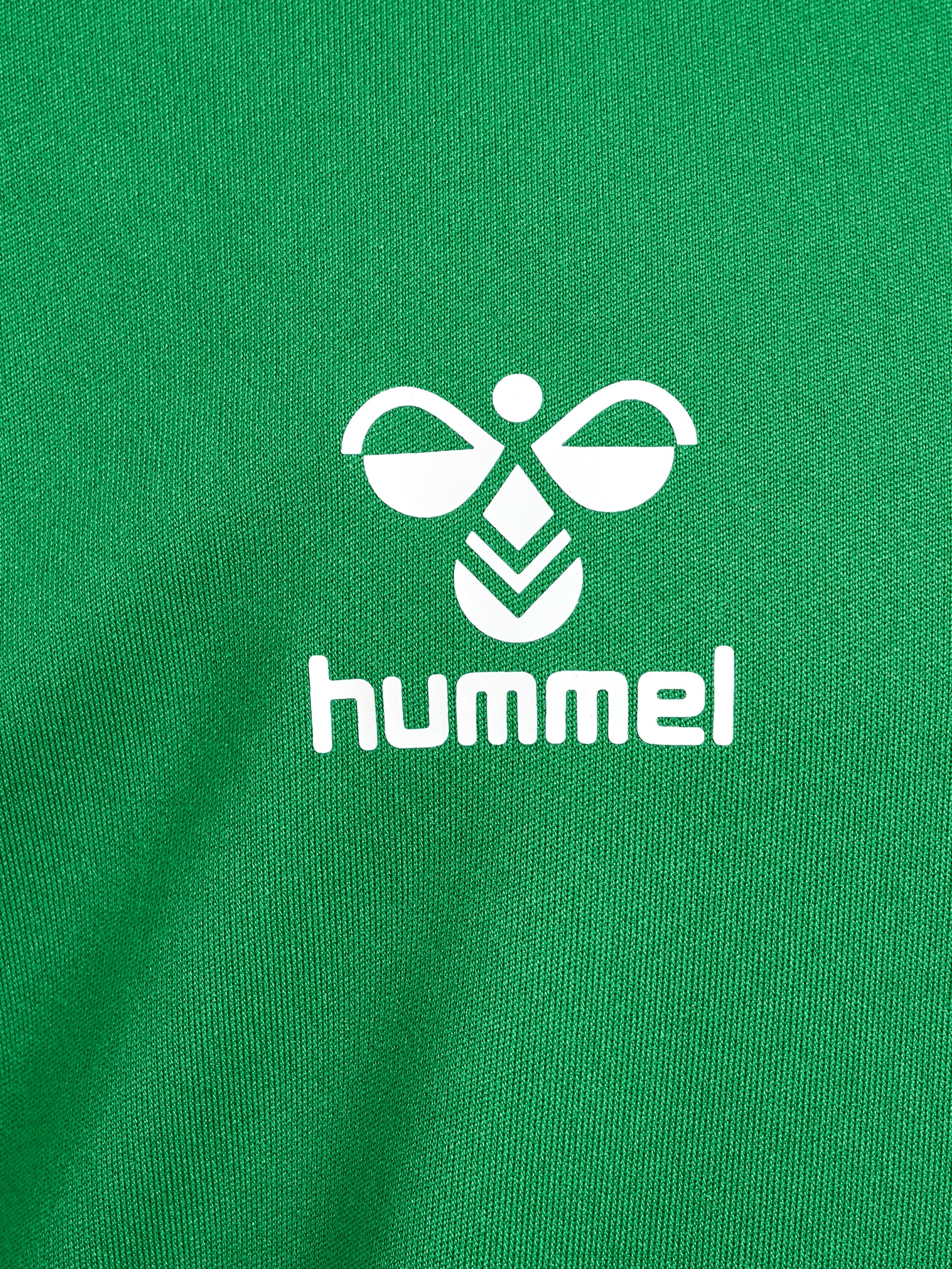 hummel T-Shirt & Shorts »HMLLOGO SET KIDS«, für Kinder