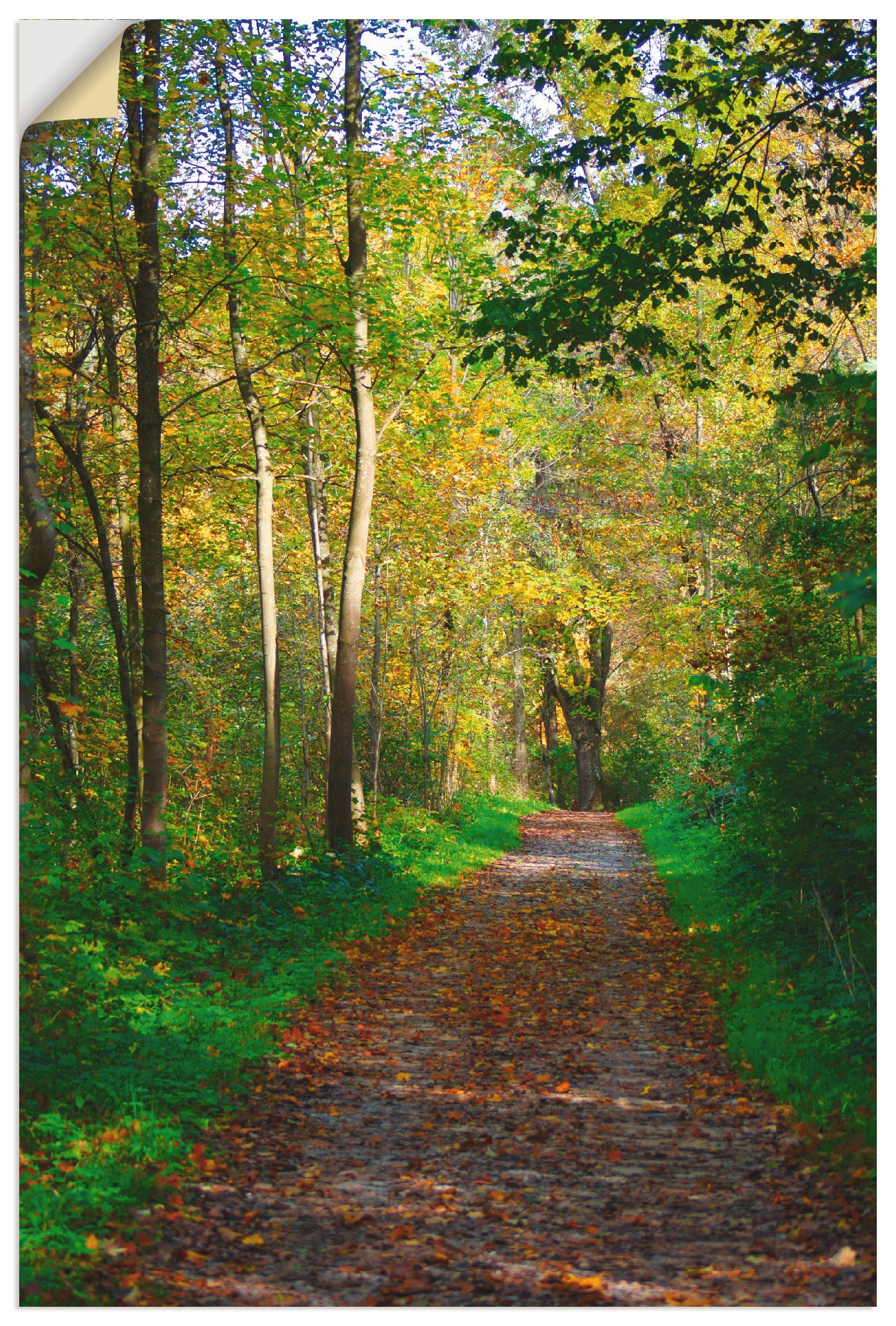 Artland Wandbild "Weg im Herbst Wald", Wald, (1 St.), als Poster, Wandaufkl günstig online kaufen