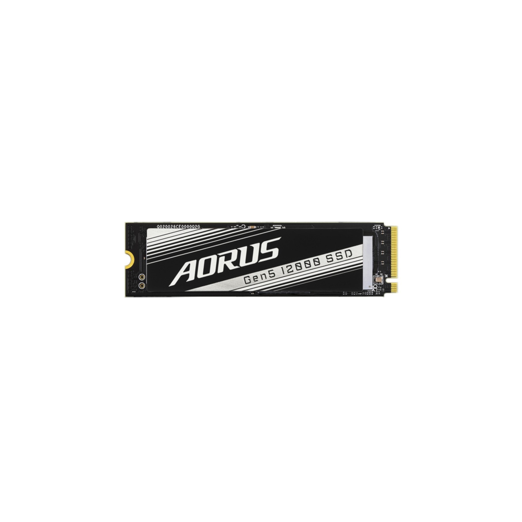 Gigabyte interne SSD »AORUS Gen5 12000«