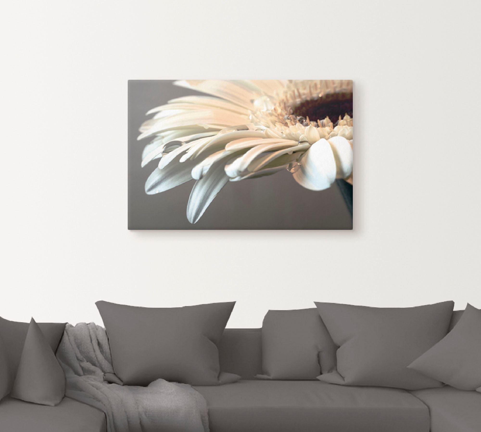 Artland Wandbild "Blüte einer Gerbera" Blumen 1 Stk. tlg. als Leinwandbild, günstig online kaufen