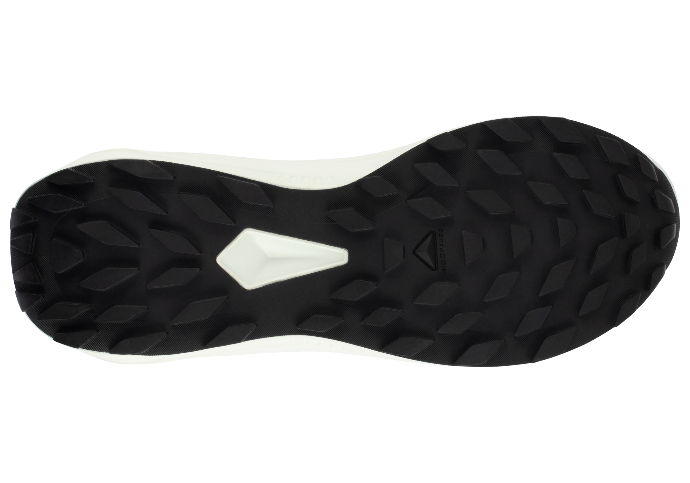 Salomon Trailrunningschuh »ALPHAGLIDE«, wasserdicht