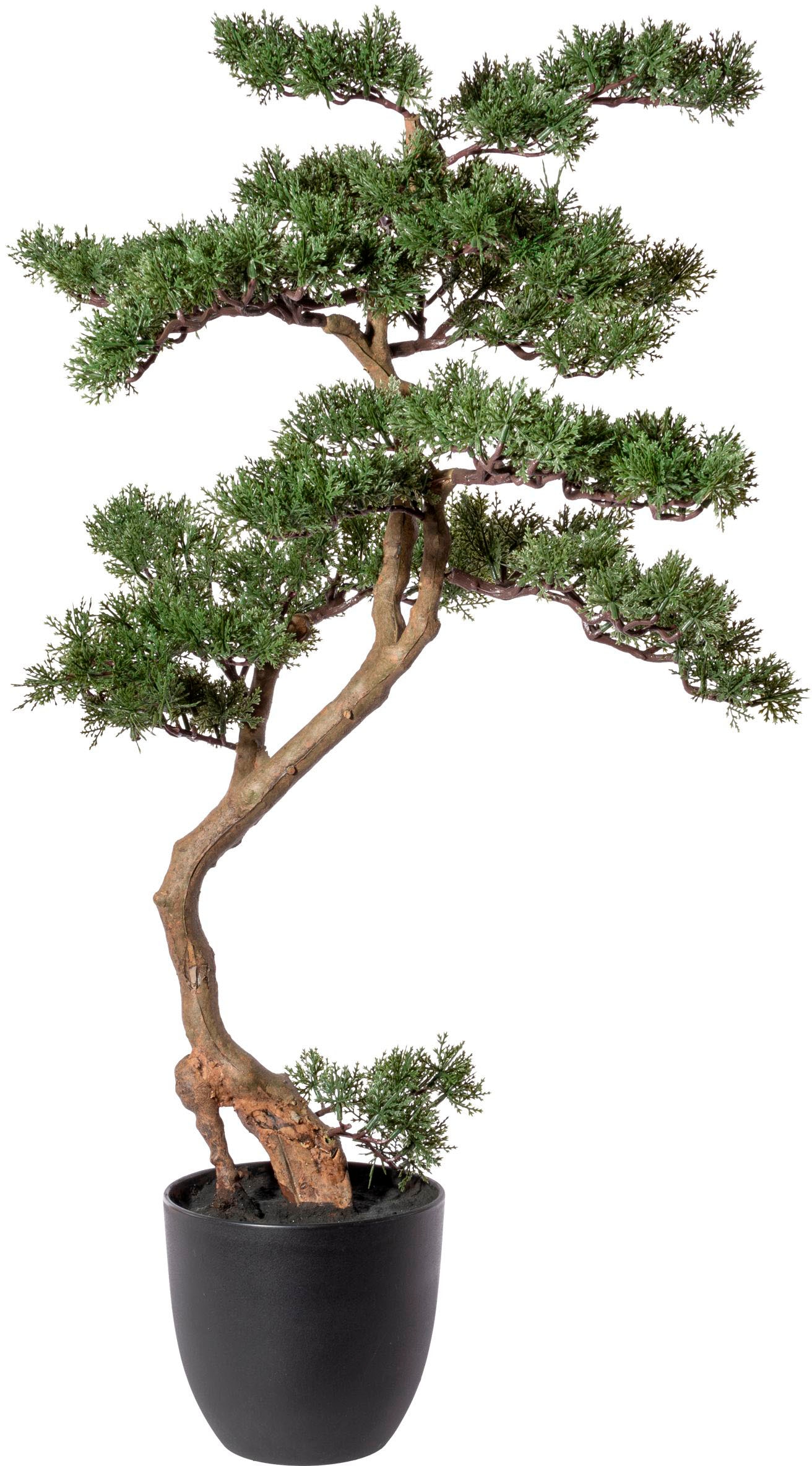 Kunstbonsai »Bonsai Zeder«