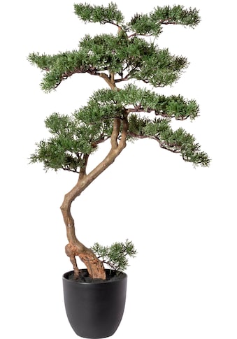 Kunstbonsai »Bonsai Zeder«