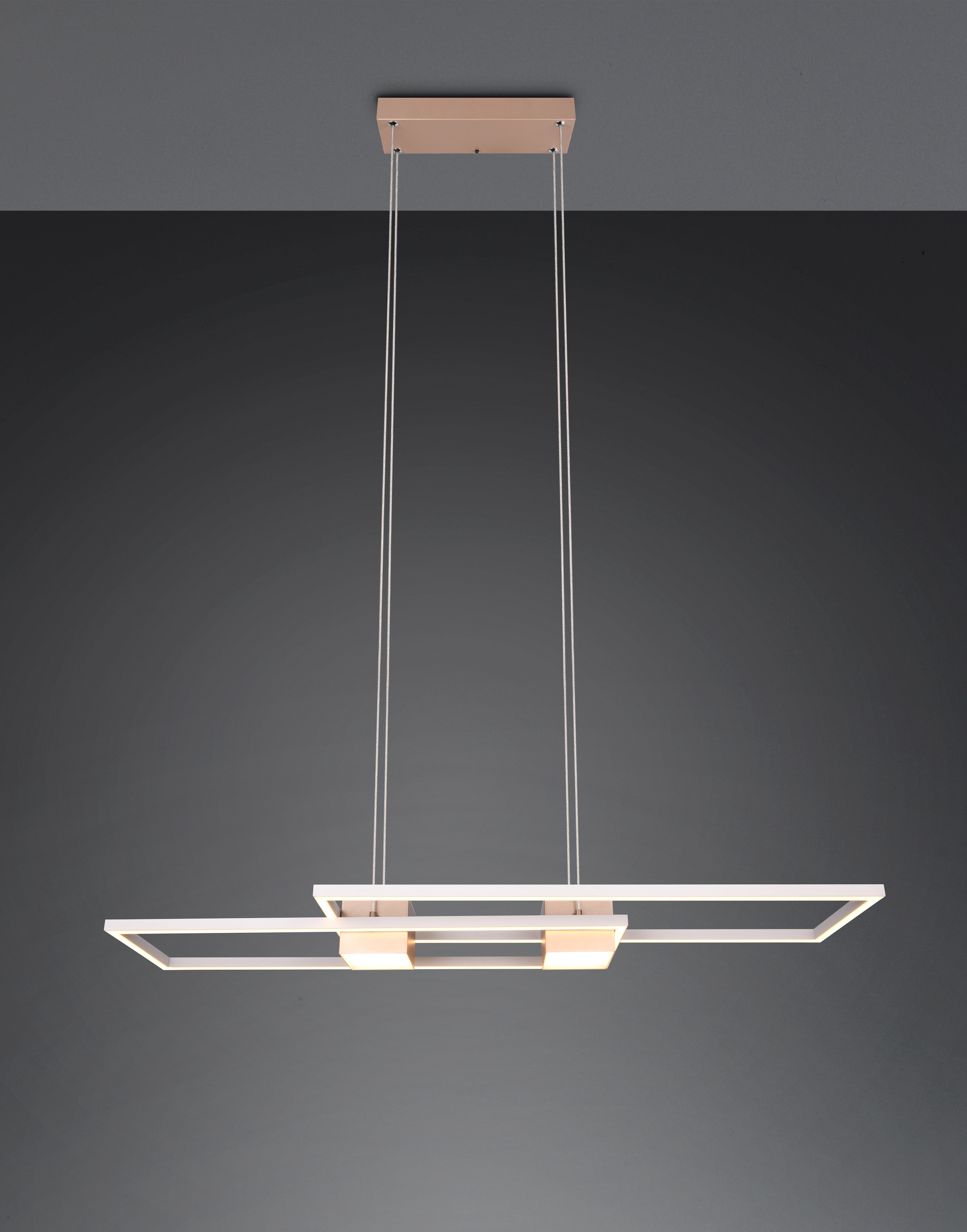 TRIO Leuchten LED Pendelleuchte »ALBANY, LED Hängelampe Wohnzimmer mit Fernbedienung, dimmbar, CCT«, 1 flammig, Leuchtmittel LED-Board | LED fest integriert, Lichtfarbe einstellbar, Memoryfunktion, Nachtlicht, up-and-down Licht