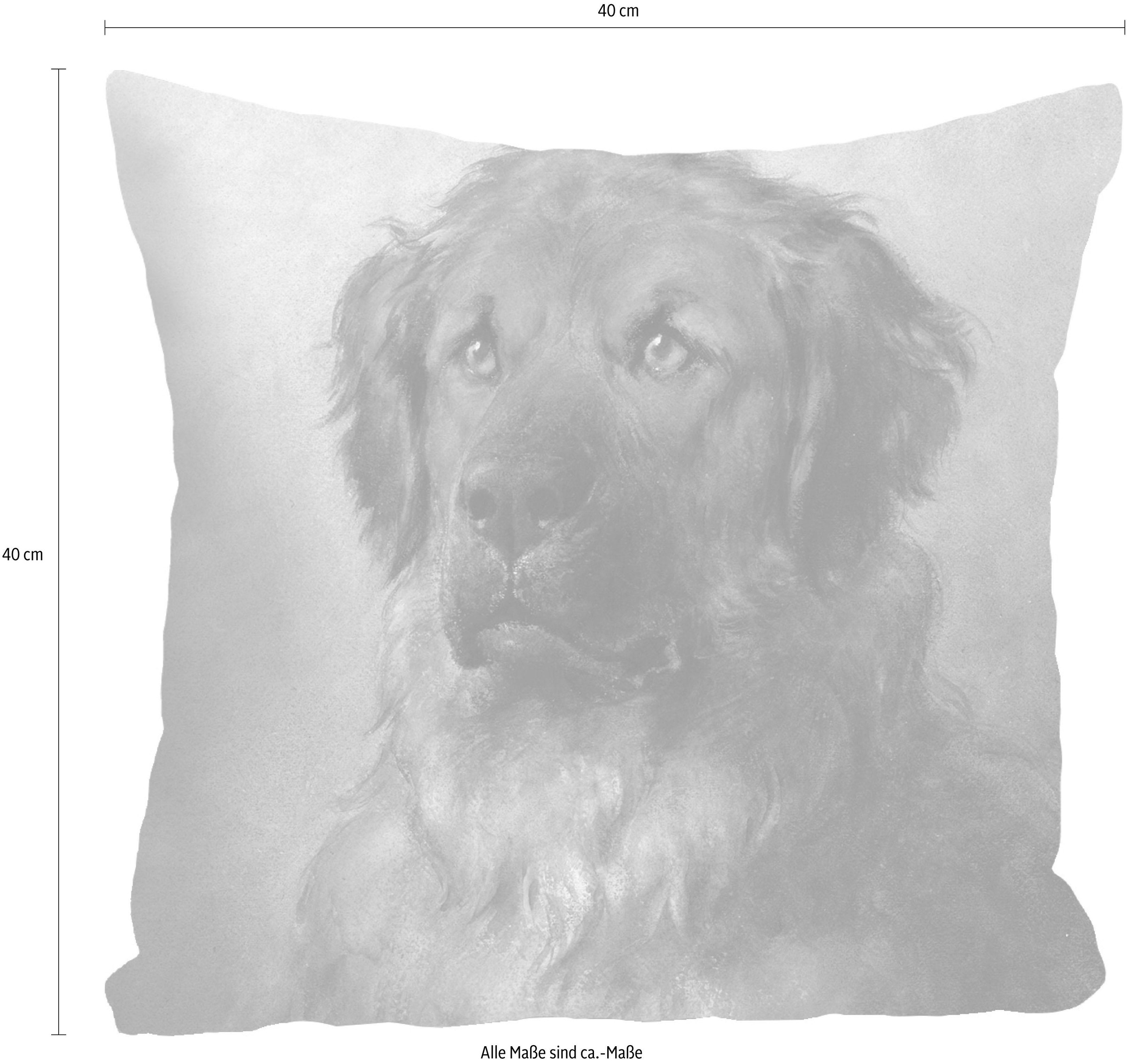 queence Dekokissen »Hovawart« Kissenhülle ohne Füllung, 1 Stück