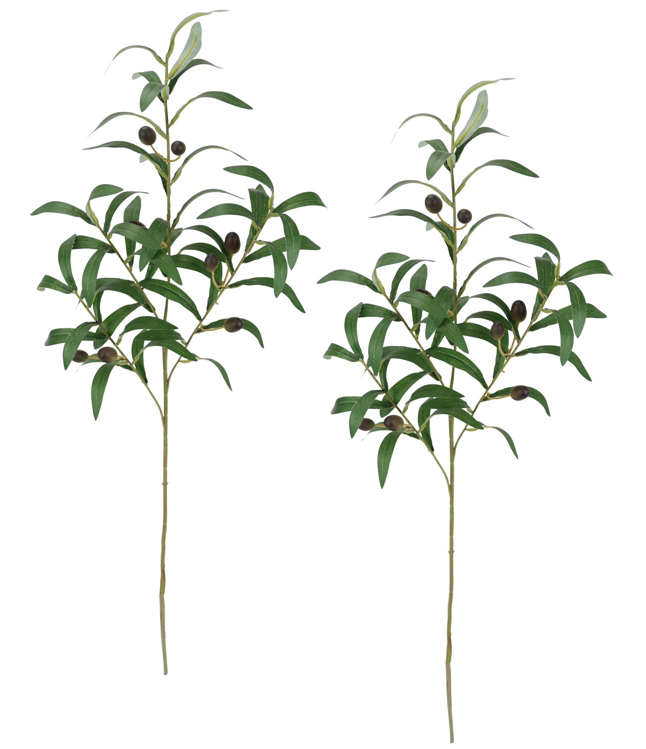 I.GE.A. Kunstpflanze "Olivenzweig 2er Set", Mit schwarzen Oliven 77cm medit günstig online kaufen