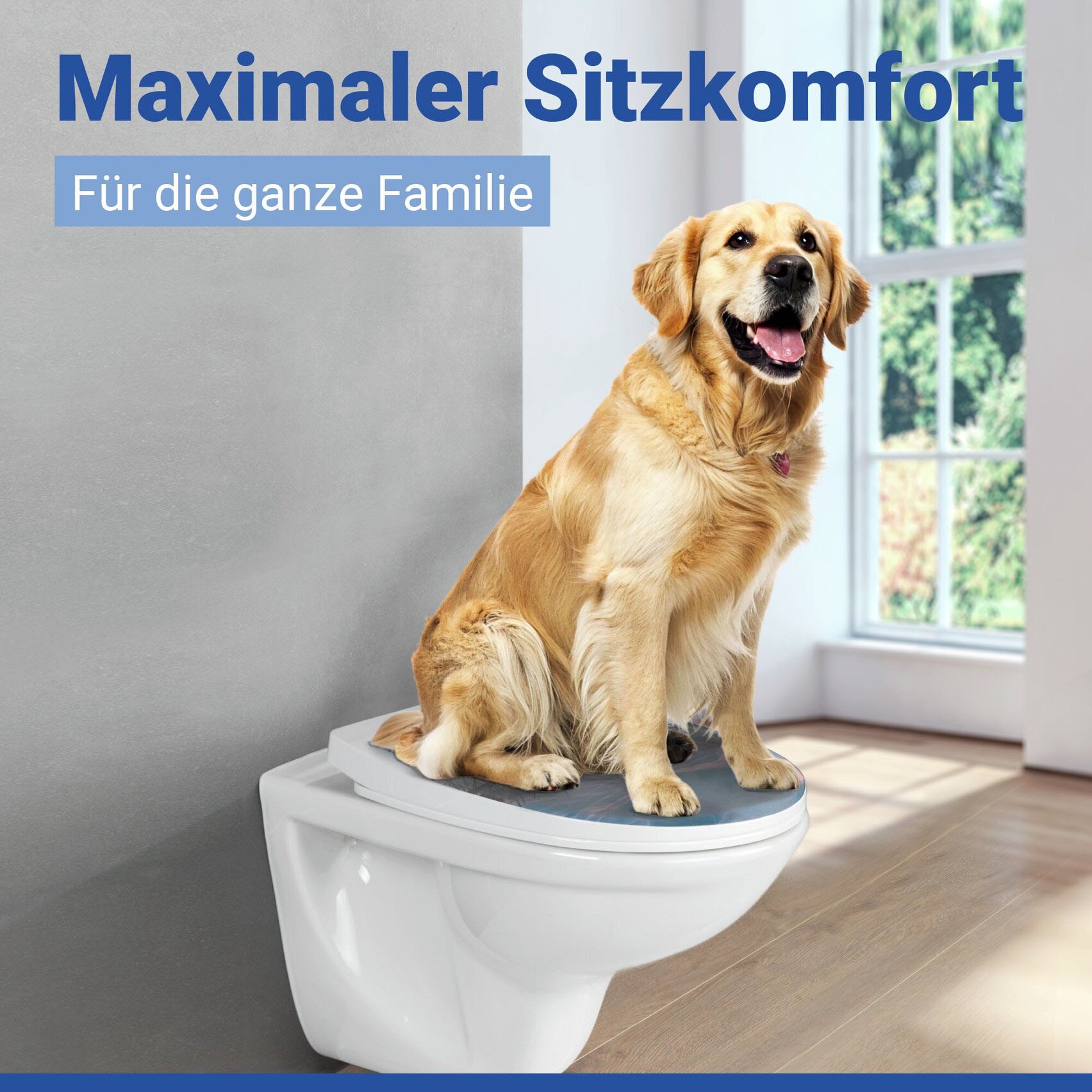 WENKO WC-Sitz »Baltic« glänzender Toilettensitz aus Thermoplast mit Motiv, Absenkautomatik