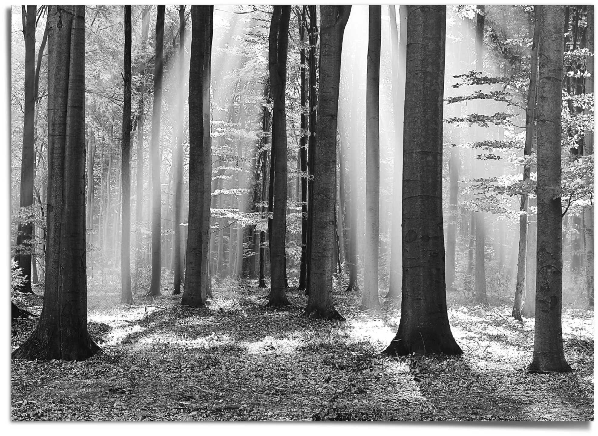 Reinders "Weißer Wald" günstig online kaufen