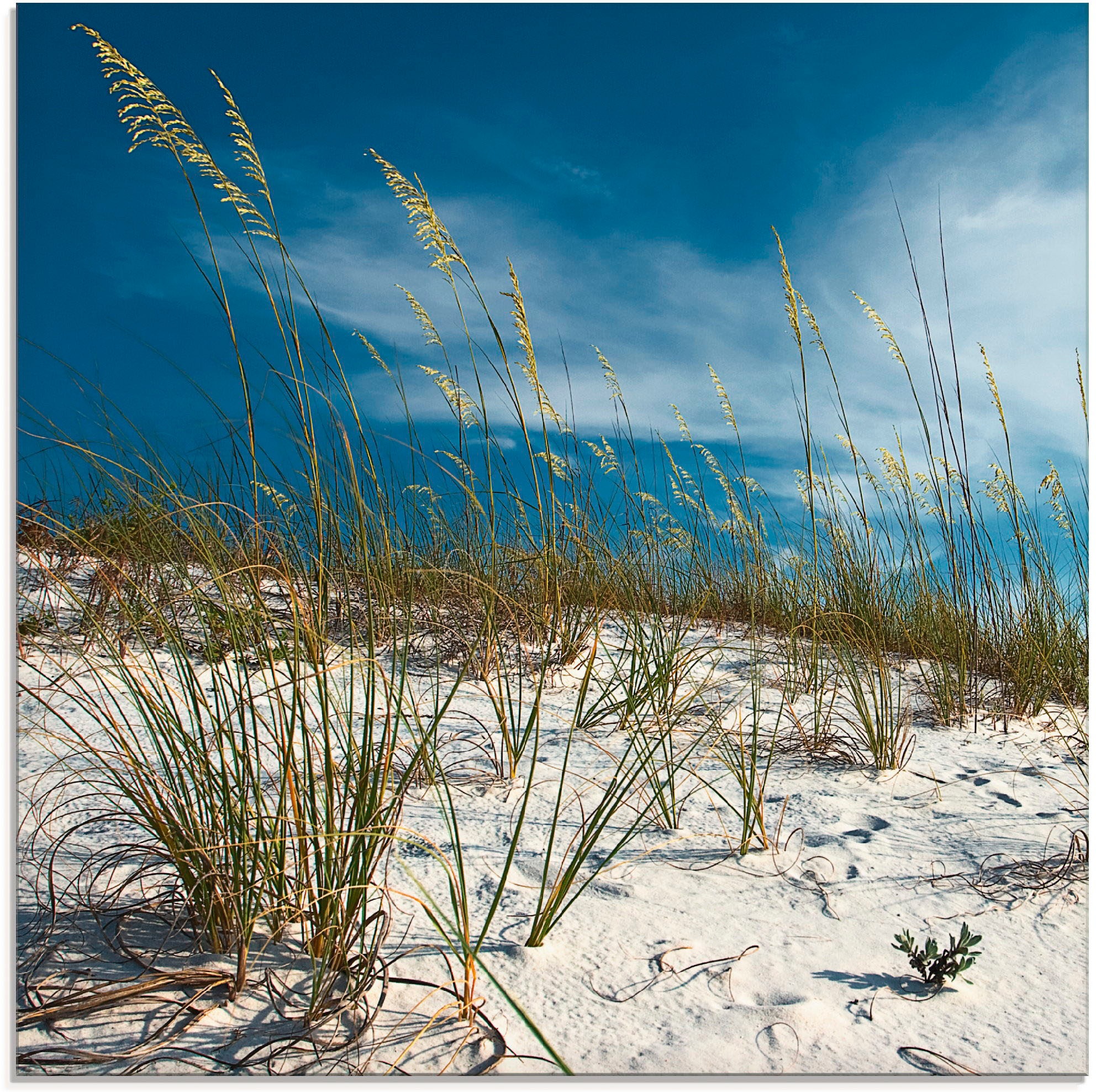 Glasbild »Sanddüne und Gräser«, Strand, (1 St.), in verschiedenen Größen