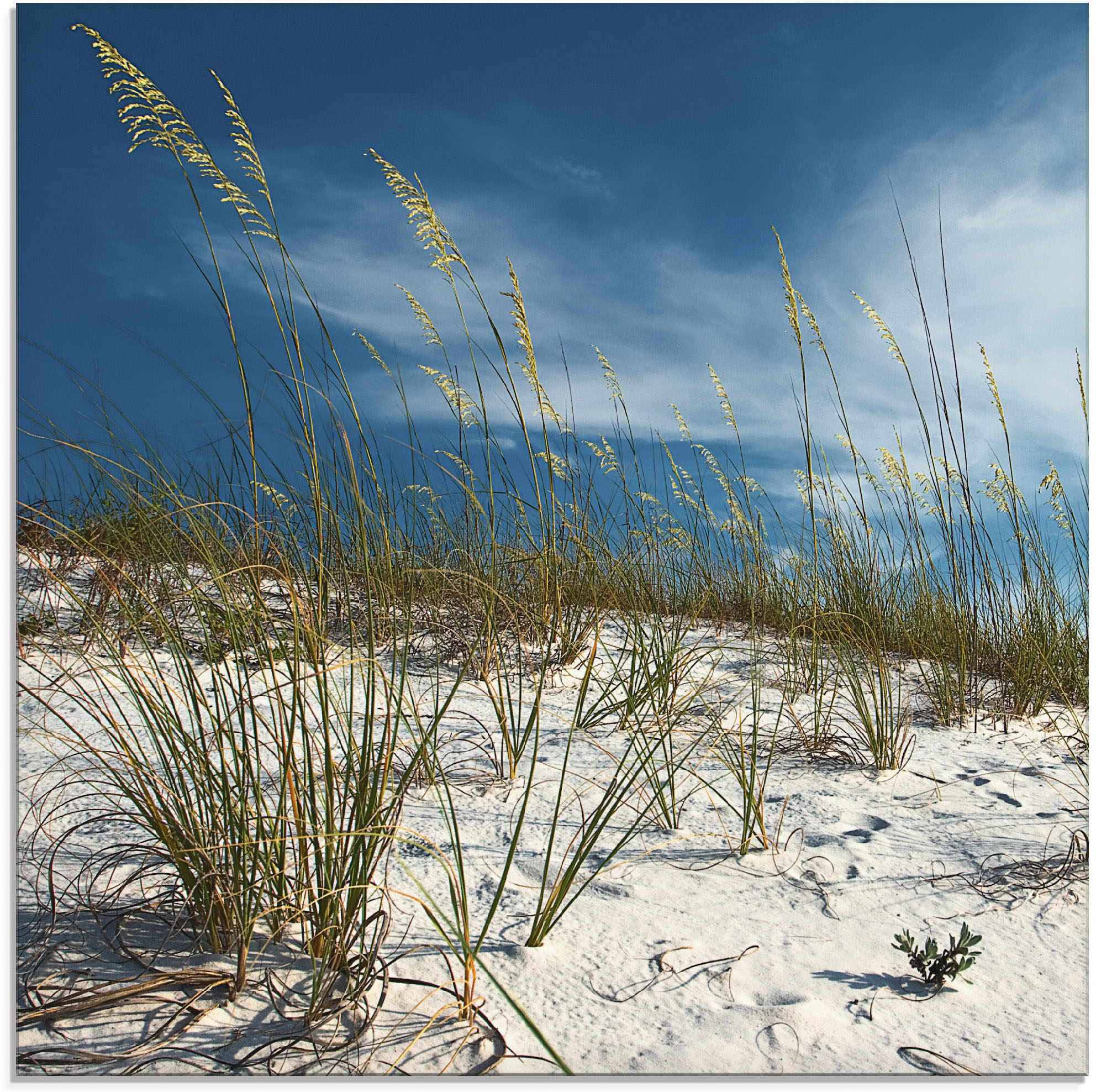 Artland Glasbild "Sanddüne und Gräser" Strand 1 Stk. tlg. in verschiedenen Größen