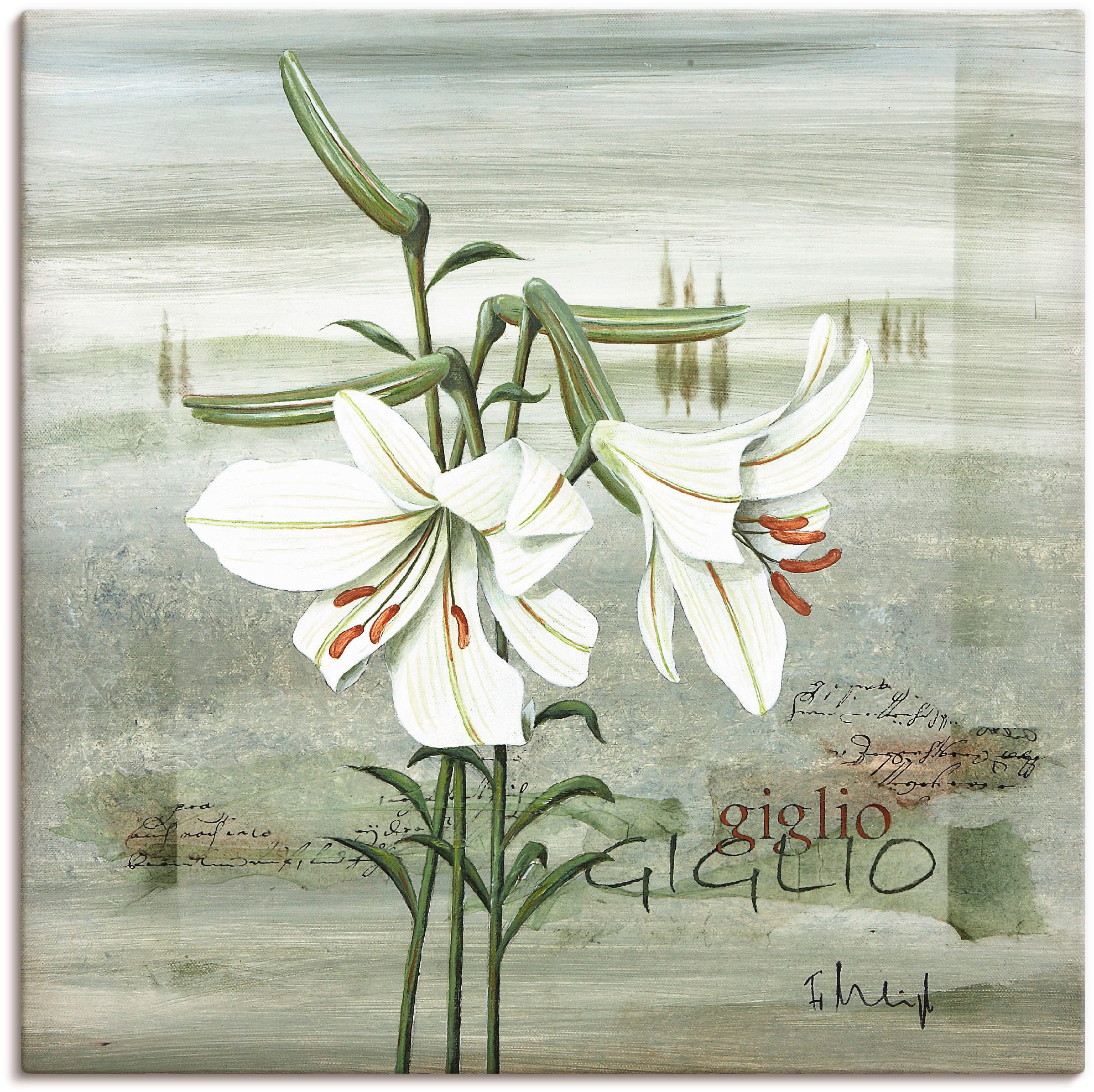 Artland Leinwandbild "Lilie", Blumen, (1 St.), auf Keilrahmen gespannt