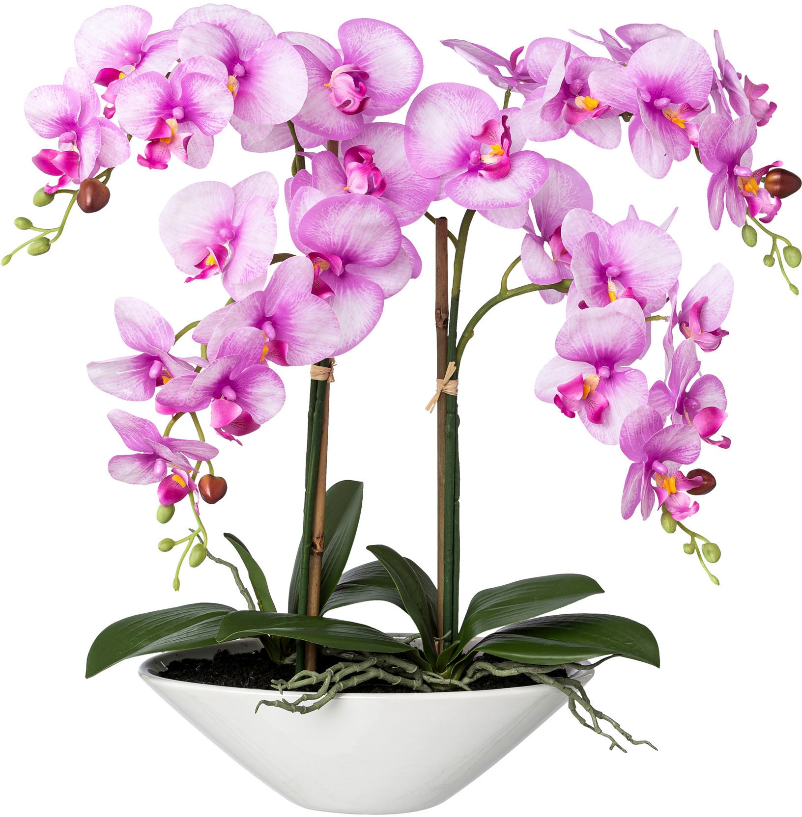 Creativ green Kunstorchidee »Deko-Orchidee Phalaenopsis in Keramikschale«