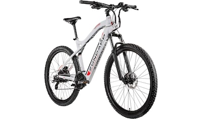 E-Bike »Z898«, 24 Gang, Heckmotor 250 W