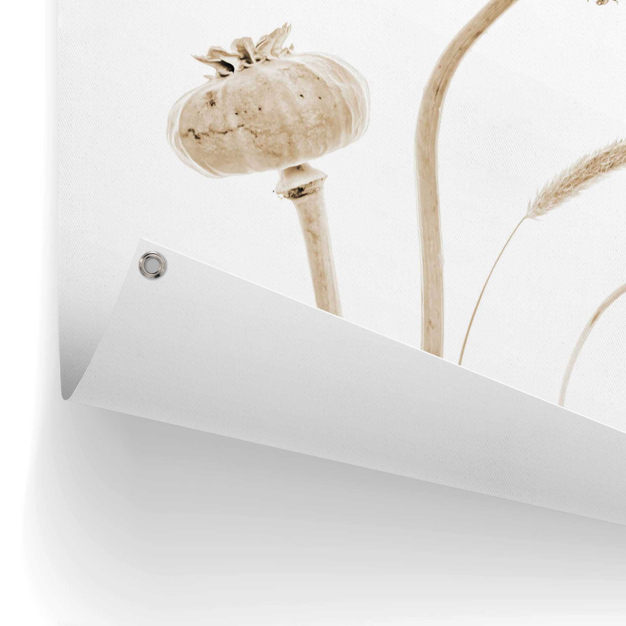 Thumbnail - Reinders Poster "Trockenblumen", Outdoor für Garten oder Balkon