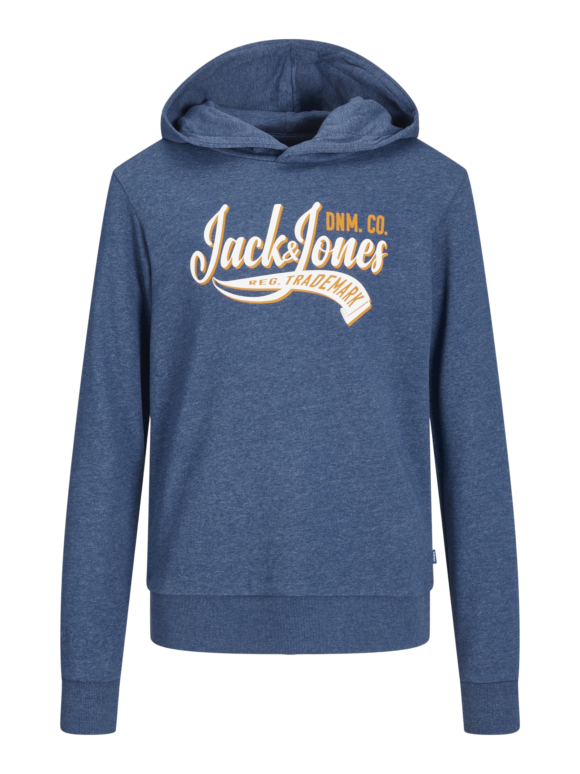 Jack & Jones Junior Hoodie »JJELOGO SWEAT HOOD 2 COL 24 SN JNR«