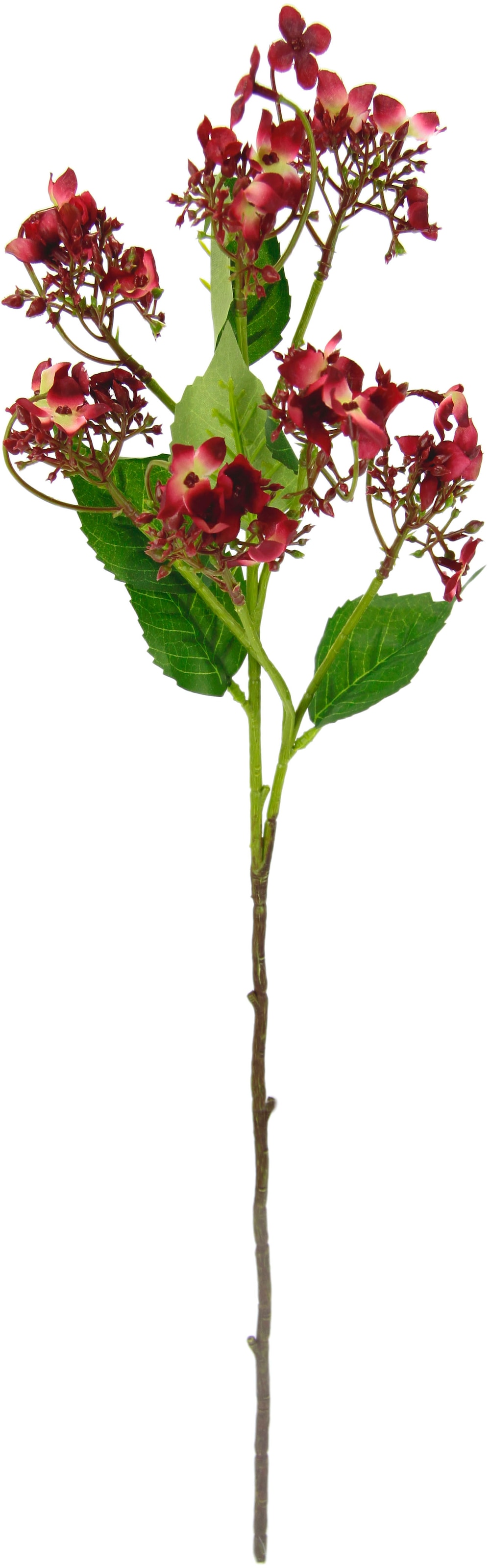 Dekozweig Kunstpflanze, Zweig, Kunstblume künstlicher BAUR 5er | Set I.GE.A. bestellen »Blütenzweig«,