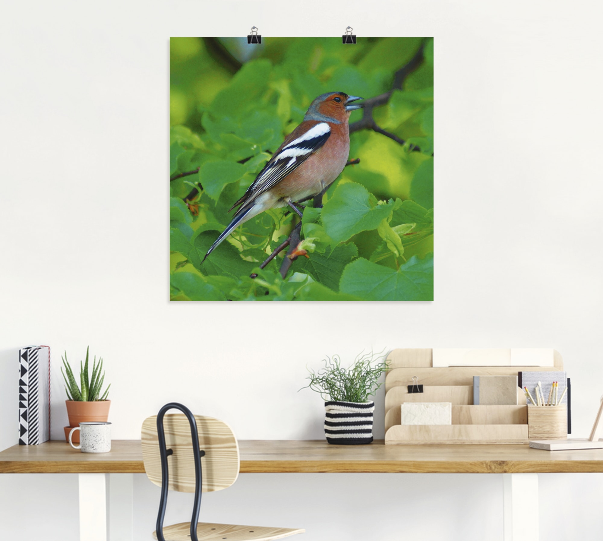 Artland Wandbild »Buchfink Lied«, Vögel, (1 St.), als Leinwandbild, Poster in verschied. Größen