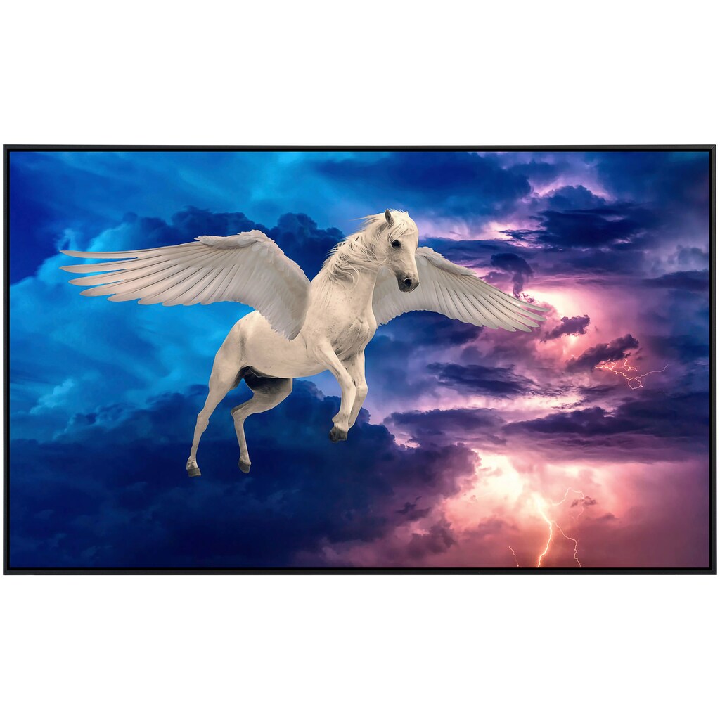 Papermoon Infrarotheizung »Pegasus«