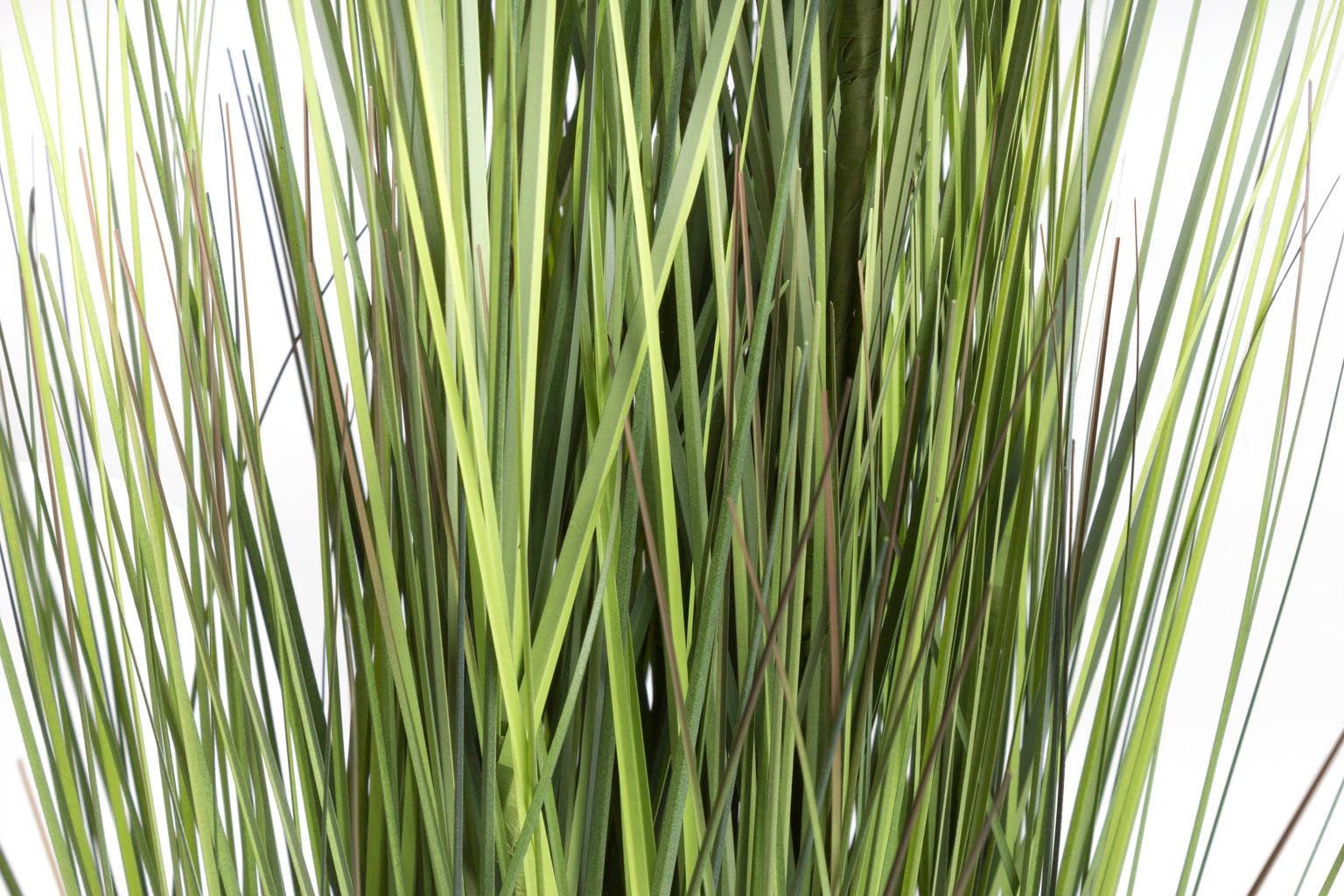 Botanic-Haus Kunstgras "Gras Festuca" günstig online kaufen