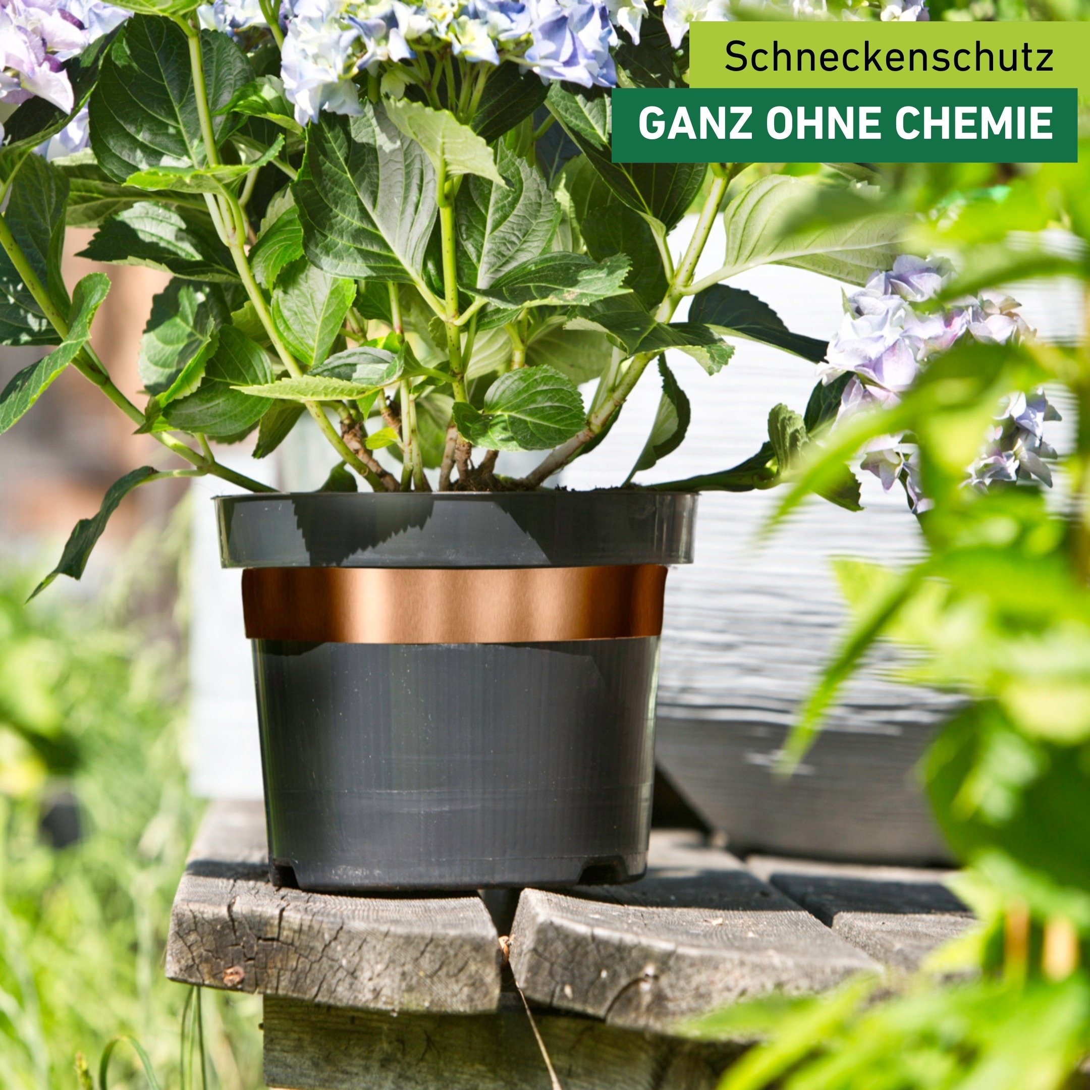 Windhager Schneckenkante »aus Kupfer, Schnecken Abwehrband für Hochbeete und Pflanztöpfe« Schneckenschutz Tape, erhältlich in 5 x 3 cm oder 5 cm x 6 m