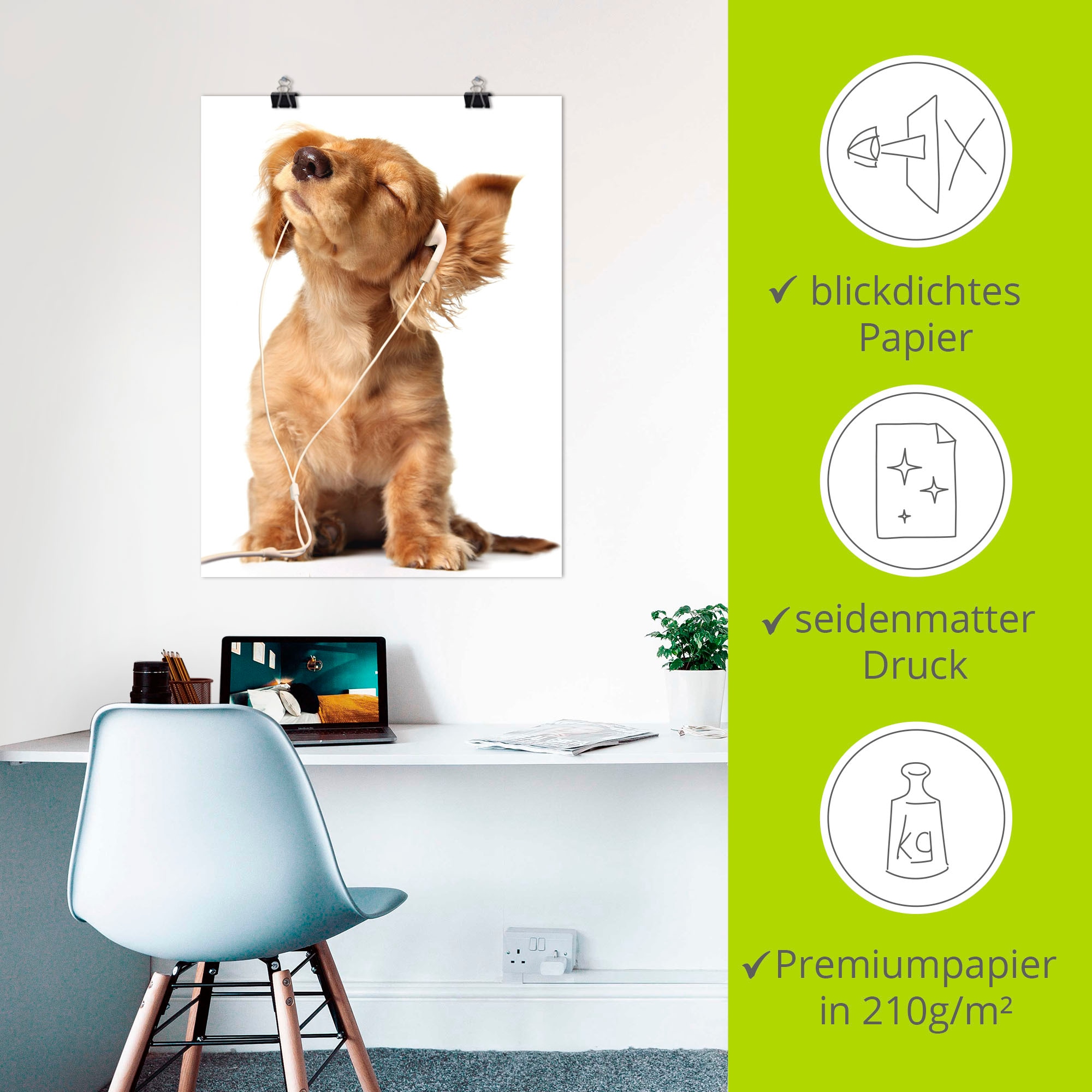 Artland Wandbild »Junger Hund hört Musik über Kopfhörer«, Haustiere, (1 St.), als Leinwandbild, Poster, Wandaufkleber in verschied. Größen