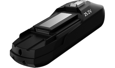 Rowenta Akku »ZR009701 X-Force 11.60«, 25,2 V, 45 Minuten Akkulaufzeit, kompatibel mit... kaufen